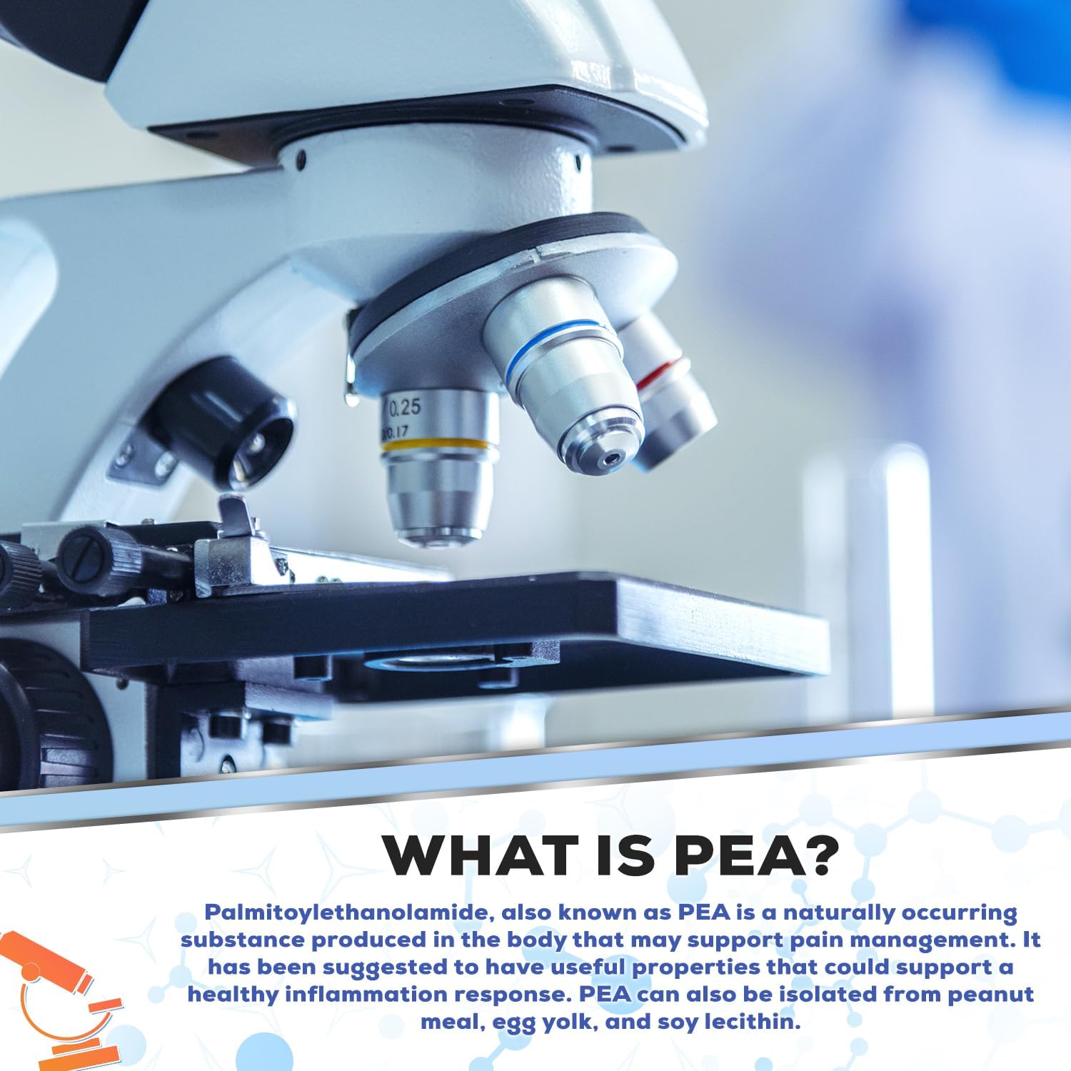 125g Palmitoylethanolamide Powder for Natural Inflammation Relief | Pea 400mg Scoop | Harvest Naturals