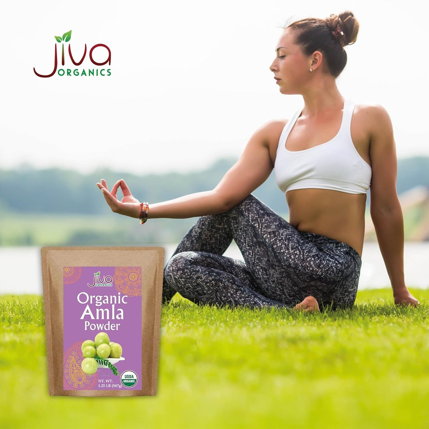 1.25LB Jiva Organics Amla Powder - Gluten Free, Non-GMO, Pure Amalaki Powder, Vitamin C, Lab Tested, 100% Raw & Natural