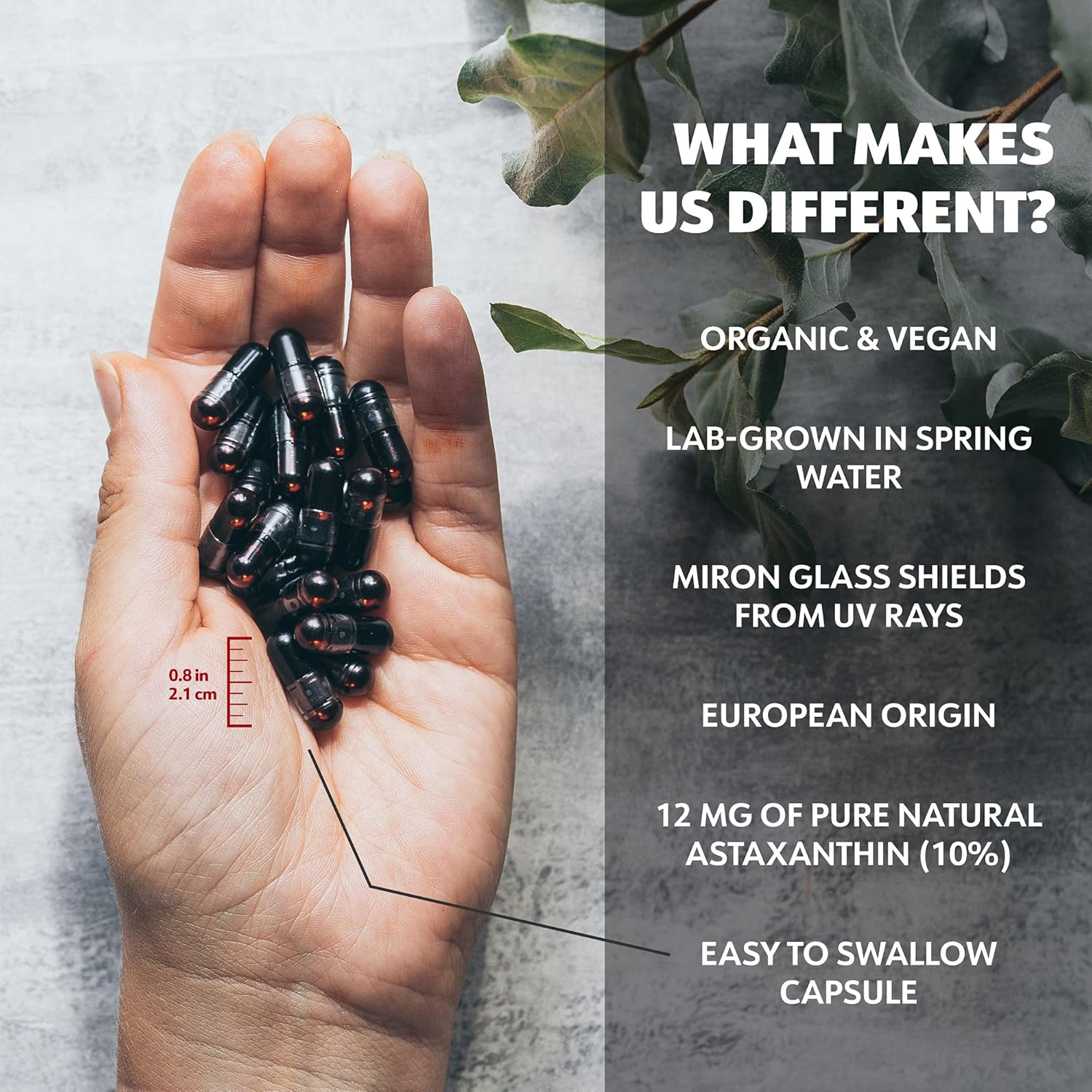 12mg Astaxanthin Supplement - 60-Day Supply - High Antioxidant Strength for Eye, Joint, Skin, Immunity - Organic Microalgae - Non-GMO, Vegan, Sustainable