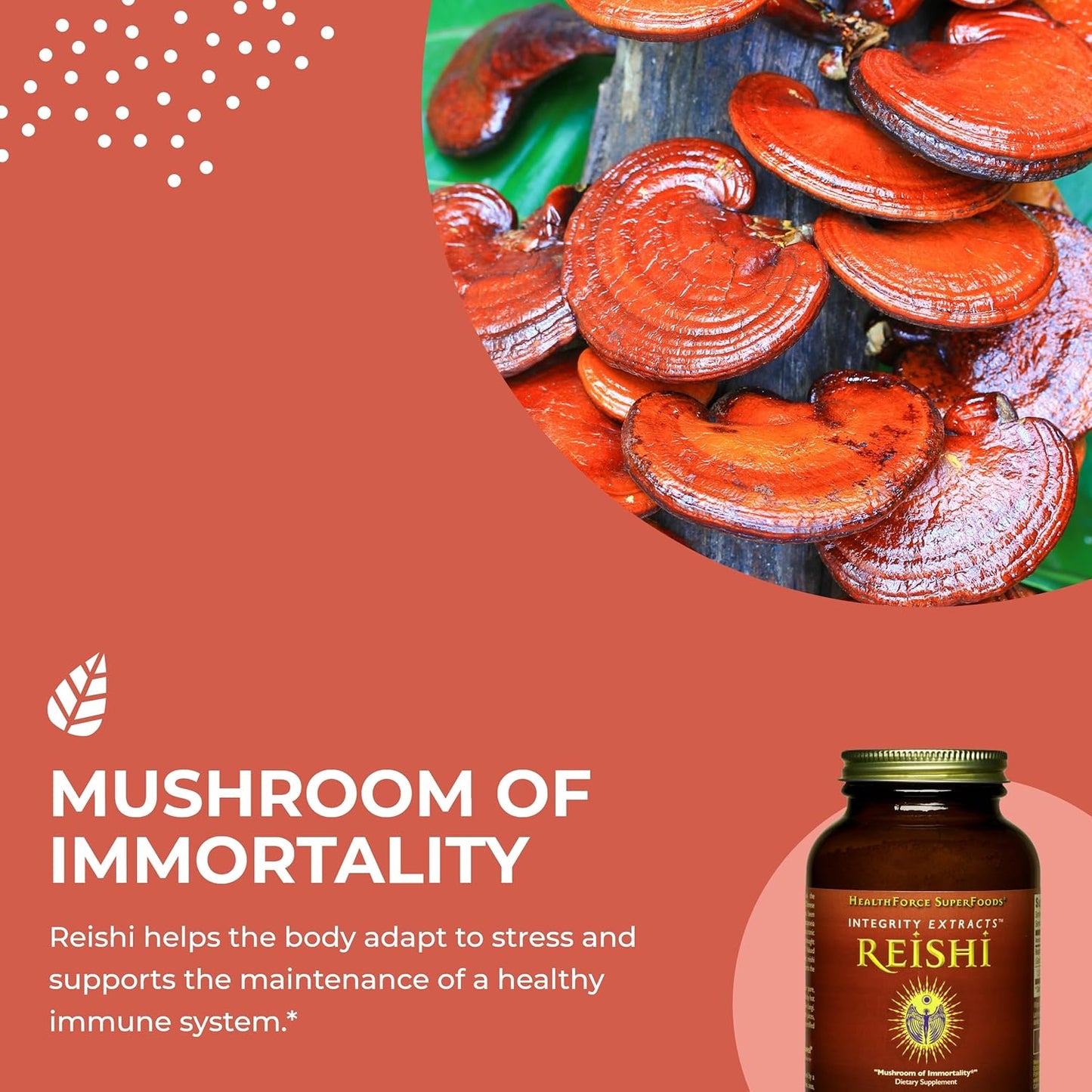 140g HealthForce SuperFoods Integrity Extracts Reishi Mushroom Powder