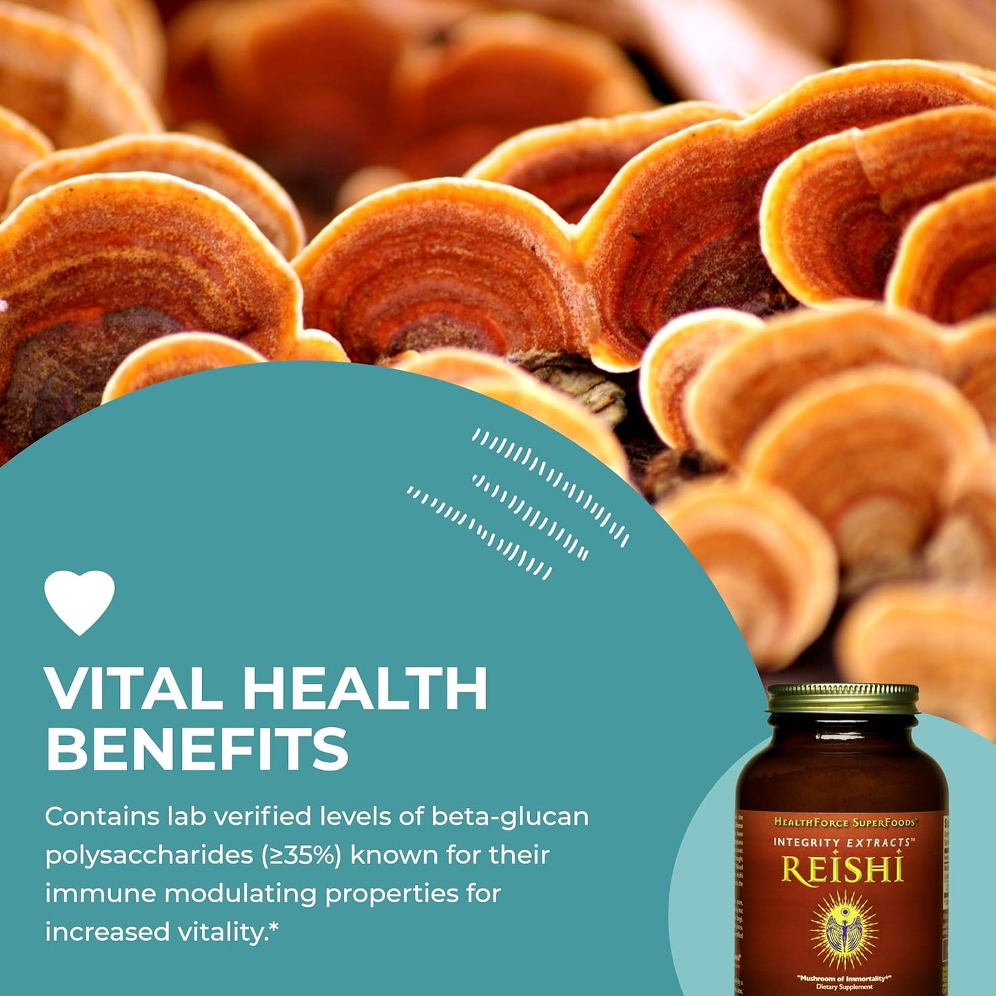140g HealthForce SuperFoods Integrity Extracts Reishi Mushroom Powder