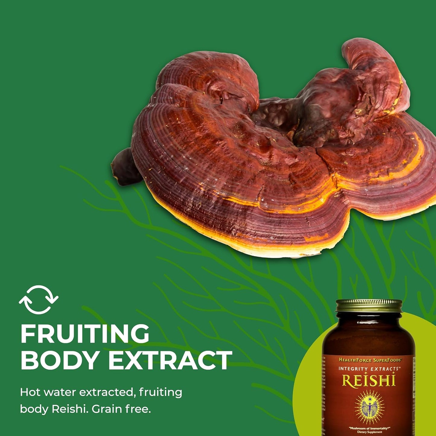 140g HealthForce SuperFoods Integrity Extracts Reishi Mushroom Powder