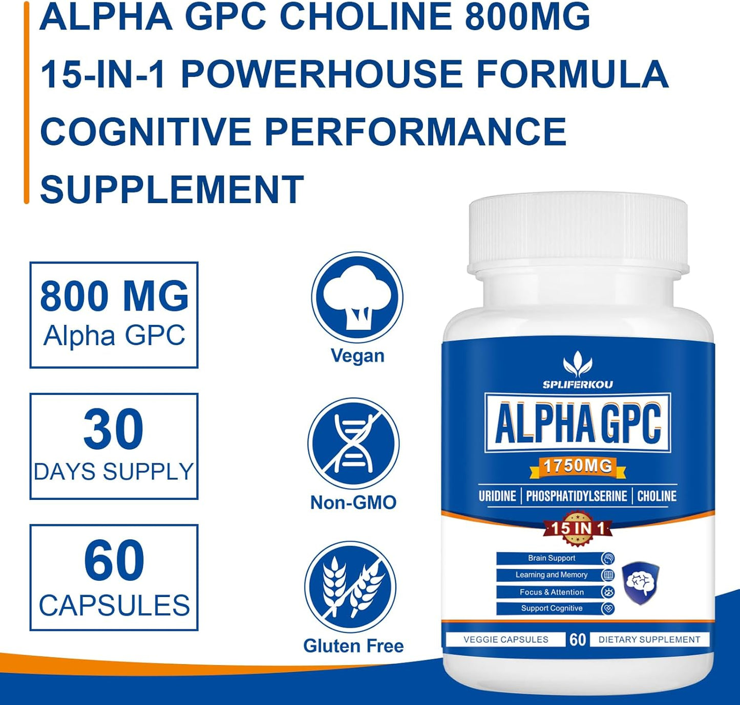 15-in-1 Alpha GPC Nootropic Brain Supplement with Lion's Mane - Memory, Focus, and Brain Support - 60 Capsules - BoostGo Australia