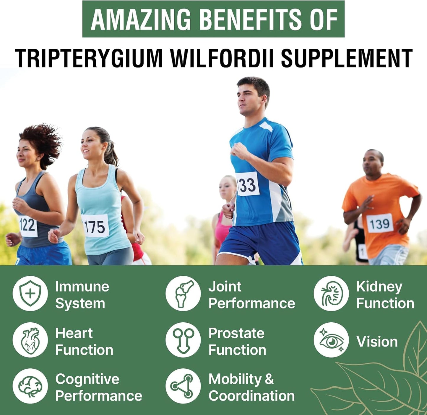 1500 MG Rosmolo Palmitoylethanolamide & 1200 MG Tripterygium Wilfordii Supplement