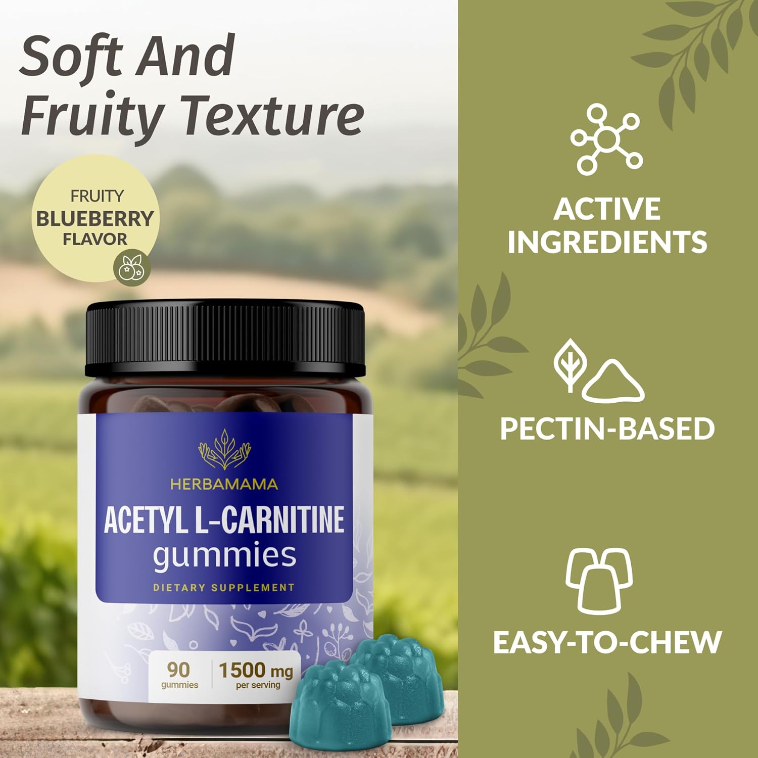 1500mg Acetyl L-Carnitine Gummies for Energy & Focus - Vegan Brain Support Supplement - Blueberry Flavored - 90 Count