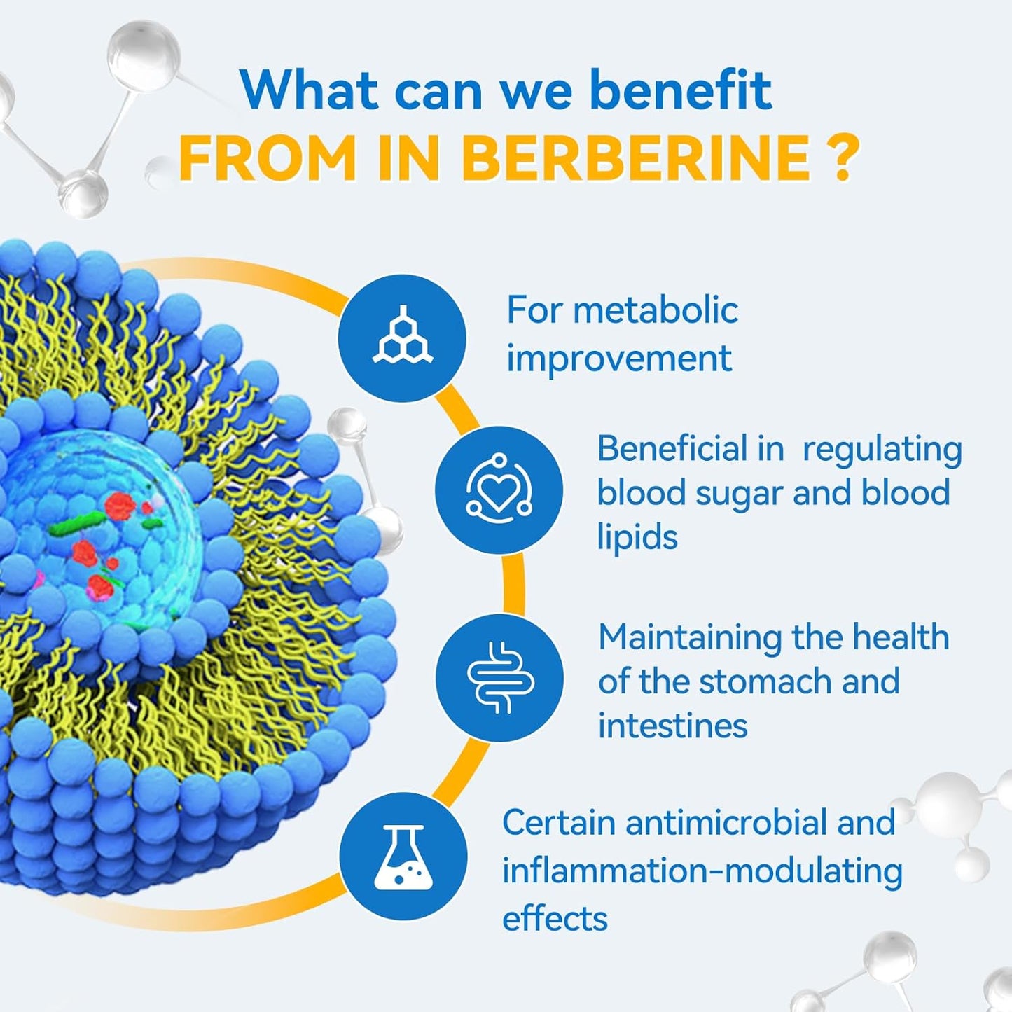 1500mg Liposomal Berberine HCL Supplement for Liver & Heart Health - AMPK Activator, Non-GMO, Gluten-Free - 60 Softgels for Men & Women