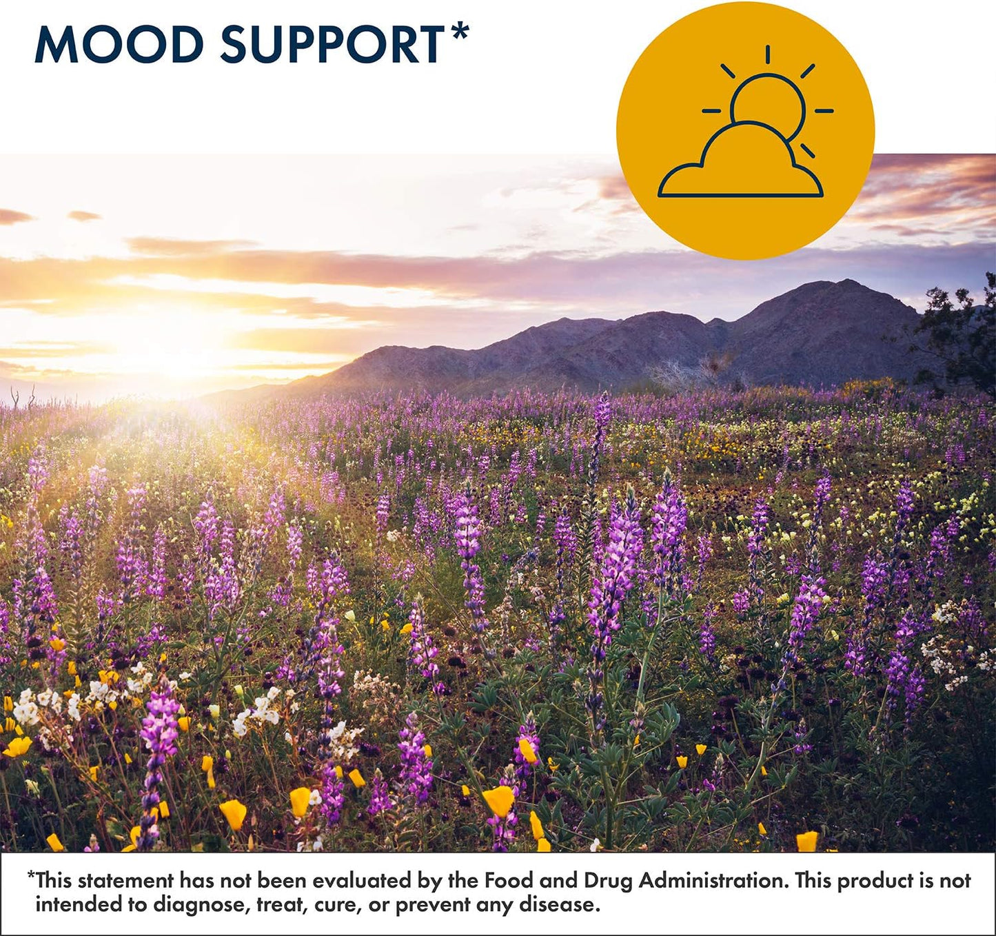 15mg L-Methylfolate Supplement for Cognitive & Brain Health - Gluten & Dairy Free - Daily Use Folate (60 Capsules)