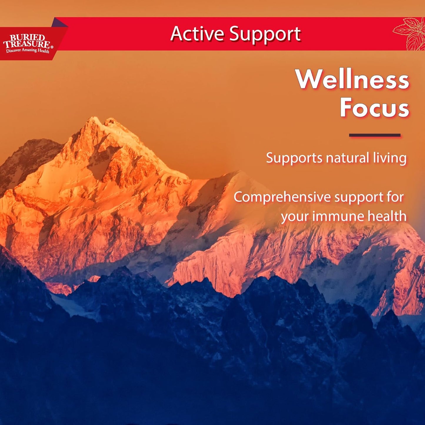 16 oz Buried Treasure ACF Extra Strength Immune Support Liquid Dietary Supplement - Elderberry, Vitamin C, Zinc, Herbal Formula - 16 Servings