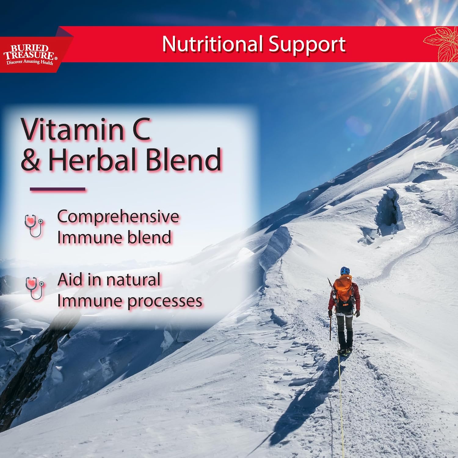 16 oz Buried Treasure ACF Extra Strength Immune Support Liquid Dietary Supplement - Elderberry, Vitamin C, Zinc, Herbal Formula - 16 Servings