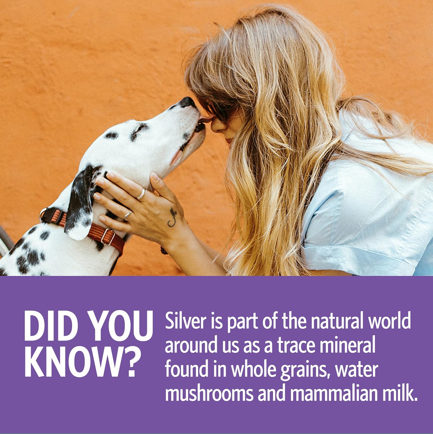 16 oz Sovereign Silver Bio-Active Silver Hydrosol for Pet Immune System Boost