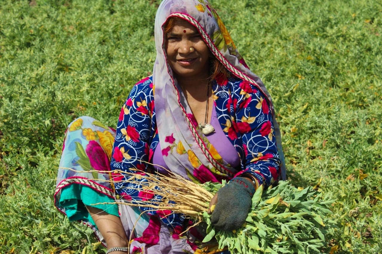 16 Oz USDA Certified Organic Ashwagandha Root Powder from India | Lab Tested, Non GMO, Gluten Free | Eco Friendly Packaging