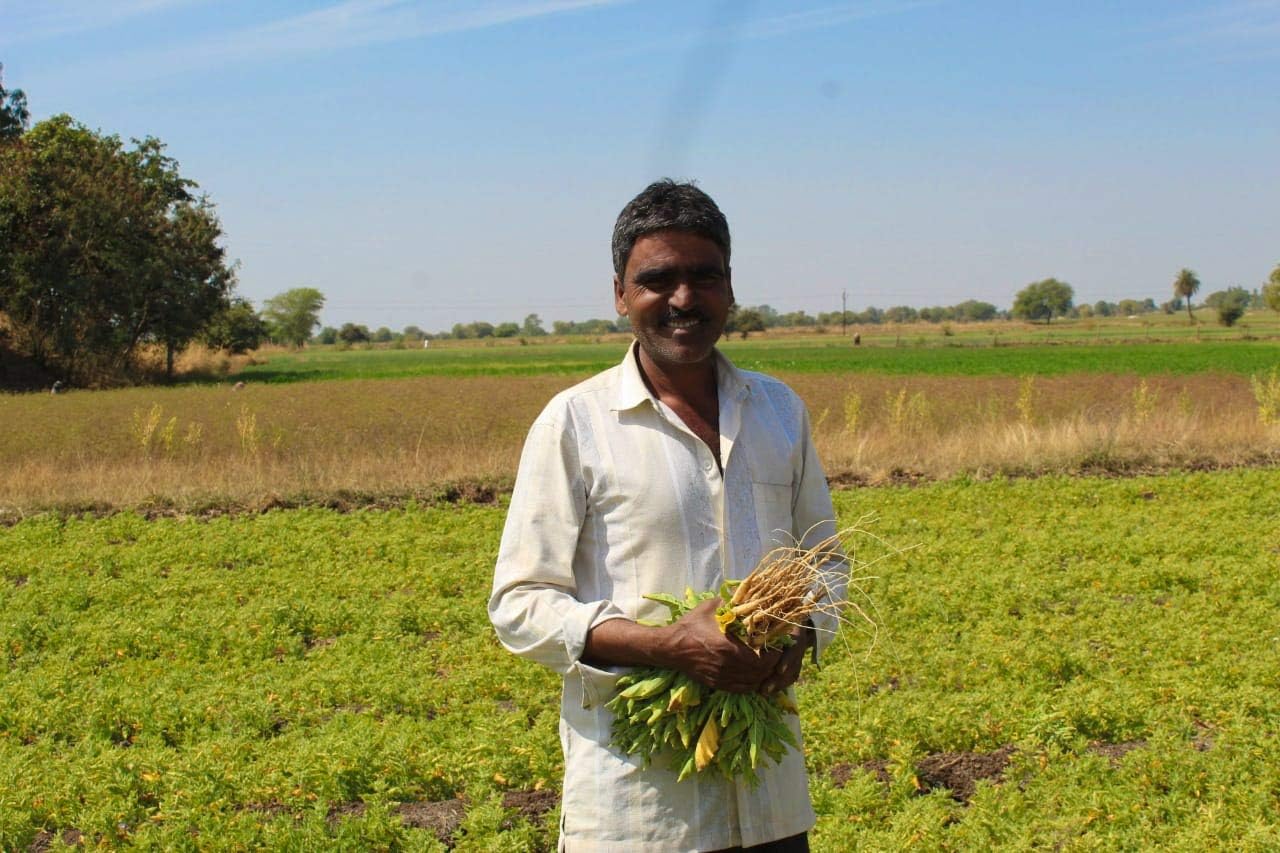 16 Oz USDA Certified Organic Ashwagandha Root Powder from India | Lab Tested, Non GMO, Gluten Free | Eco Friendly Packaging