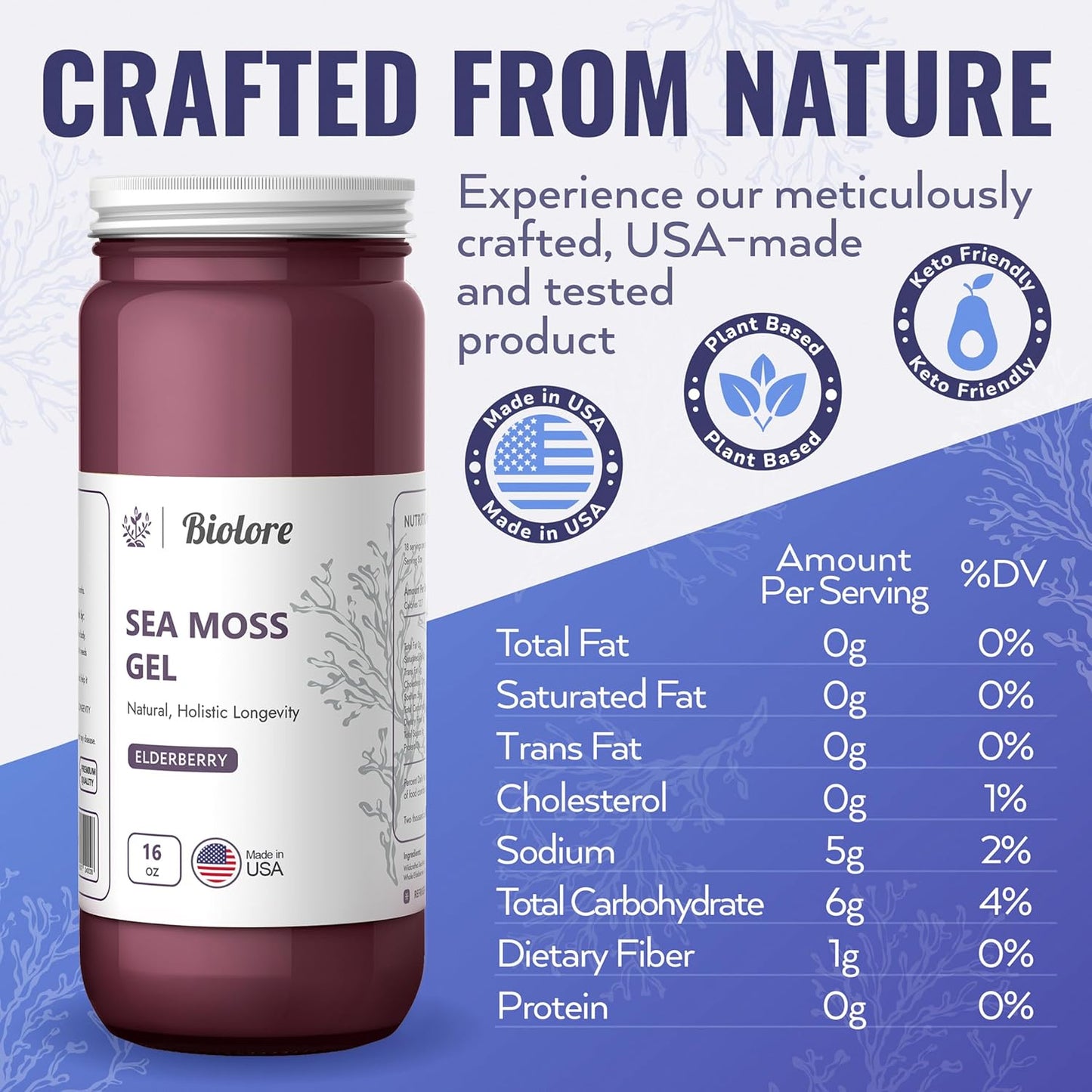 16oz Biolore Sea Moss Gel with Mango & Elderberry: Raw Wildcrafted Irish Seamoss, Essential Vitamins & Minerals, Antioxidant-Rich Vegan Superfood for Immune Support - Made in USA