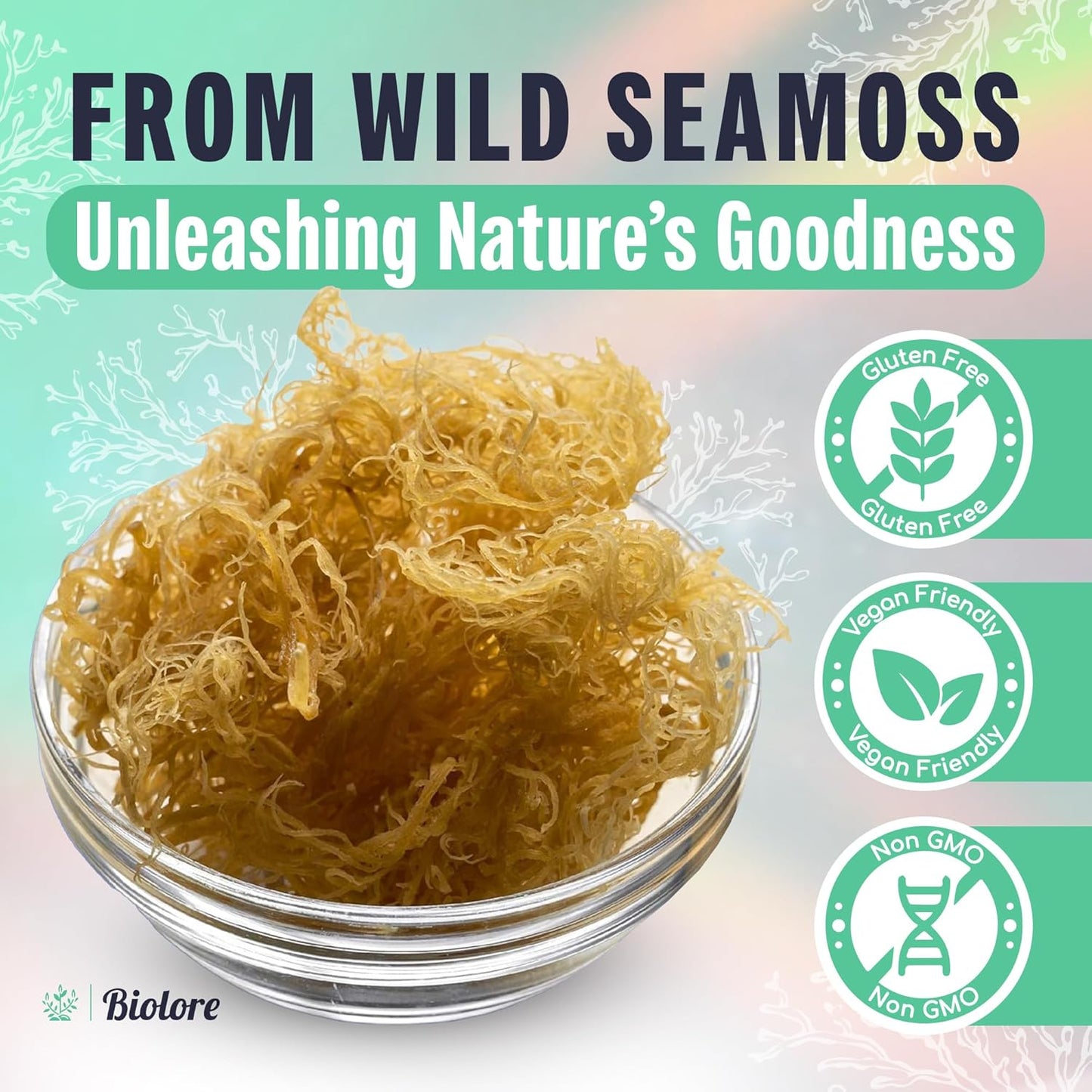 16oz Biolore Sea Moss Gel with Shilajit - Wildcrafted Irish Seamoss Rich in Essential Vitamins & Trace Minerals - Vegan Superfood USA Made