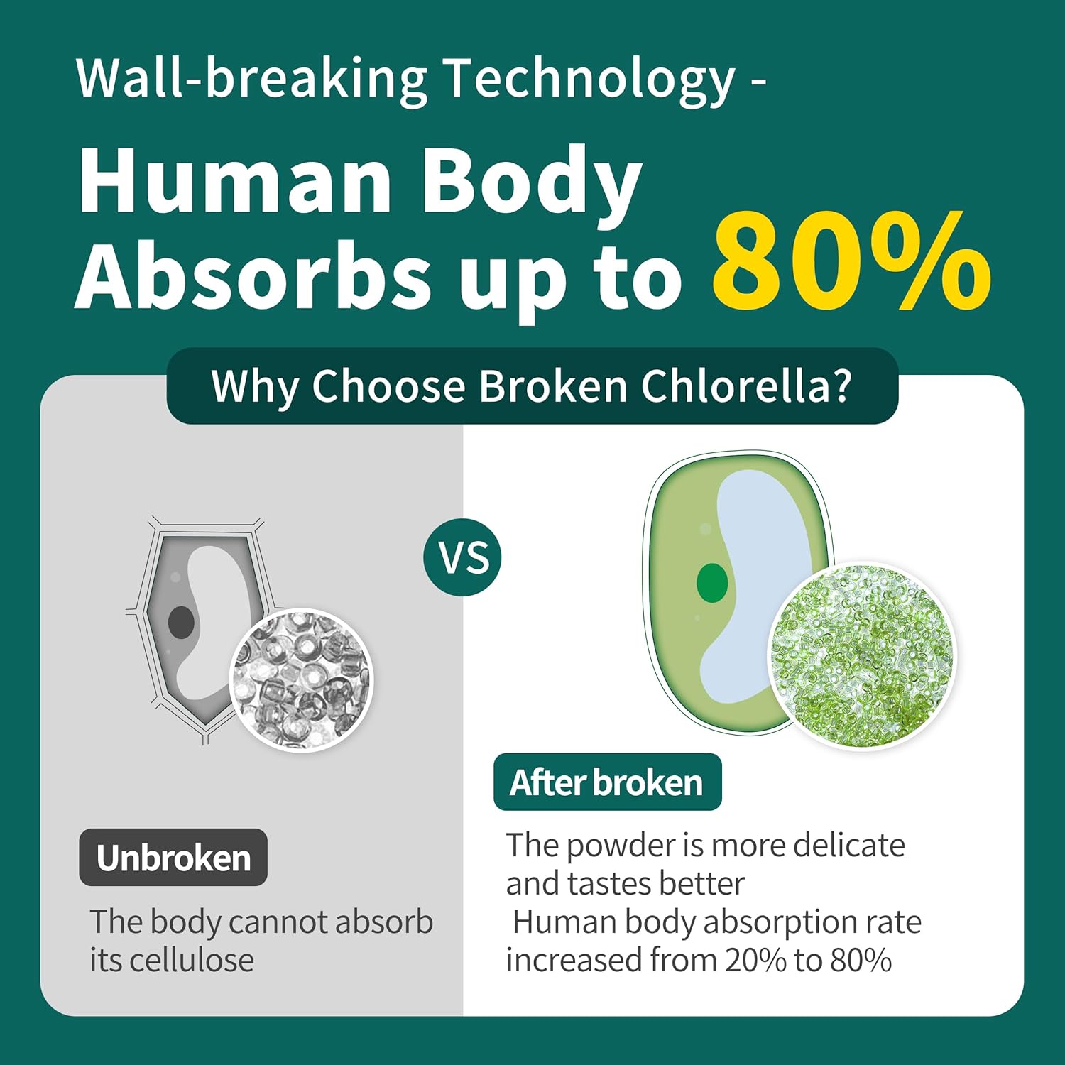 18 oz Hudetex Chlorella Powder: Natural Chlorophyll Powder, Supports Immune System & Liver, Vegan Protein & Vitamins, Anti-Aging.