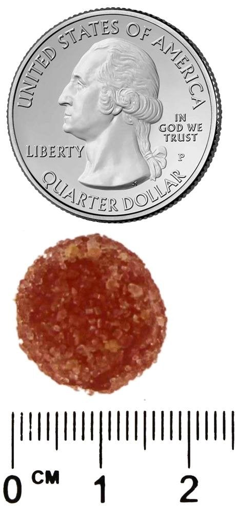 180 Count SmartyPants Adult Complete Daily Gummy Vitamins: Gluten-Free Multivitamin with Omega-3 DHA/EPA Fish Oil, Methyl B12, Vitamin D3 - Non-GMO - 30 Day Supply