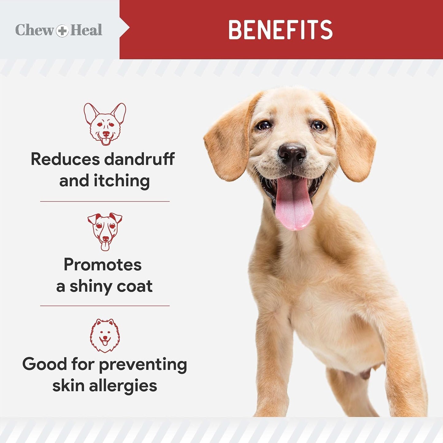 180 Soft Chew Salmon Oil Treats for Dogs - Skin & Coat Health, Itch Relief - Fish Oil Blend with Omega 3, 6, 9, Vitamins - Smoked Bacon Flavor