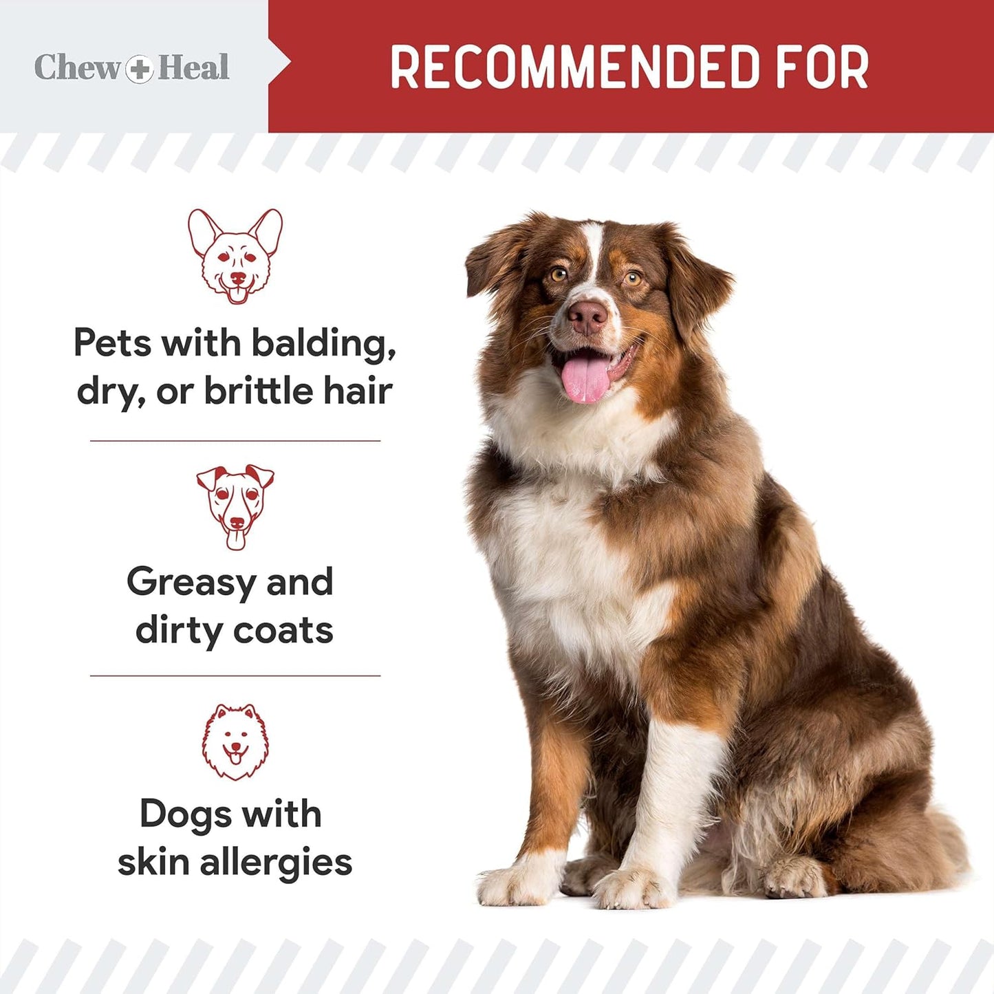 180 Soft Chew Salmon Oil Treats for Dogs - Skin & Coat Health, Itch Relief - Fish Oil Blend with Omega 3, 6, 9, Vitamins - Smoked Bacon Flavor