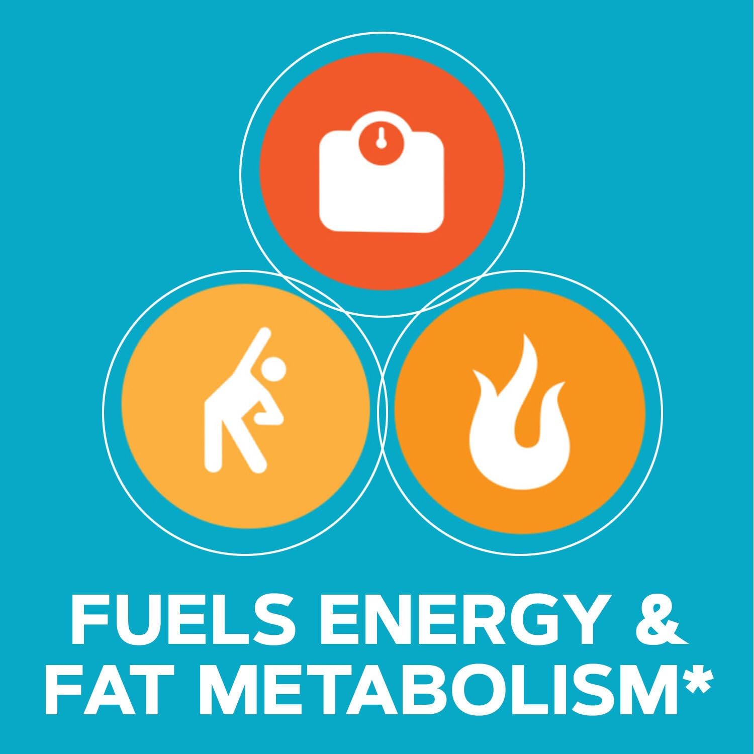 180 Softgels GNC Total Lean CLA for Improved Body Composition, Lean Muscle Tone, and Fat Metabolism - Gluten Free & Stimulant-Free Energy Booster