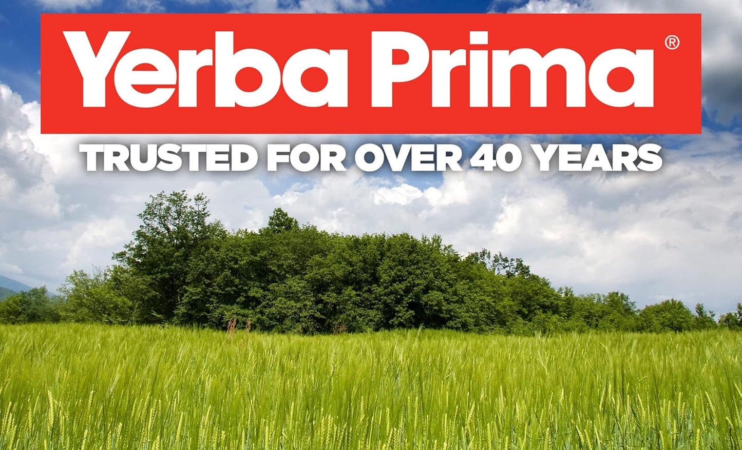 180 Veg Caps Yerba Prima Psyllium Husks Fiber Supplement
