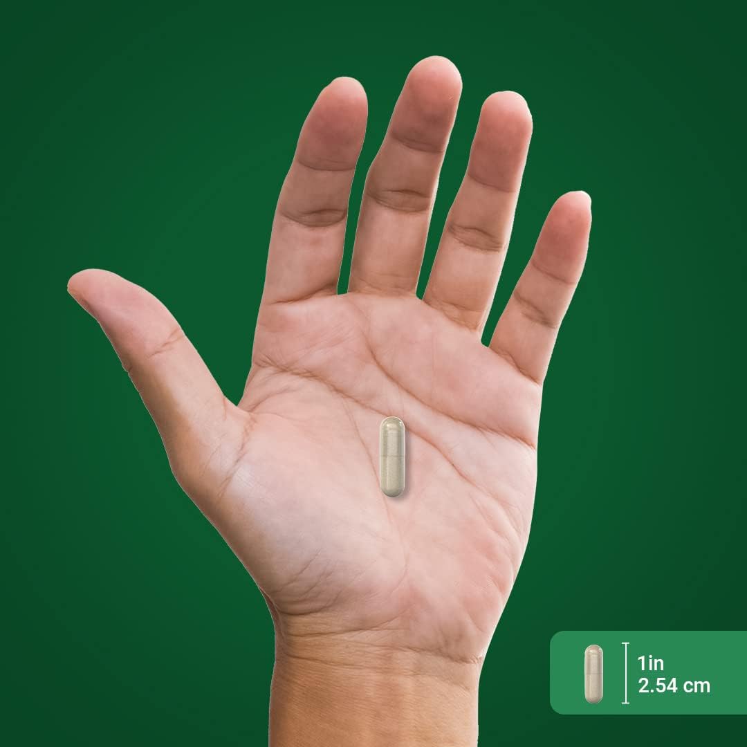 1800 mg Senna Leaves Capsules - 100 Count | Non-GMO and Gluten Free Supplement by Piping Rock