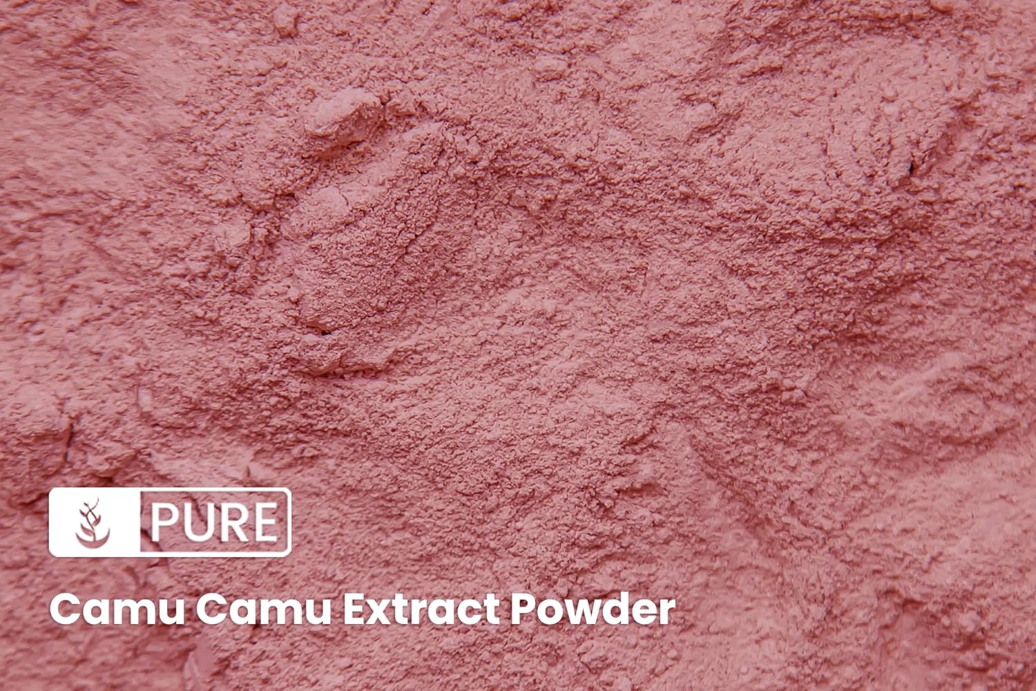 1lb Camu Camu Powder - Pure Brazilian Superfood with Lab-Verified Vitamin C, Non-GMO