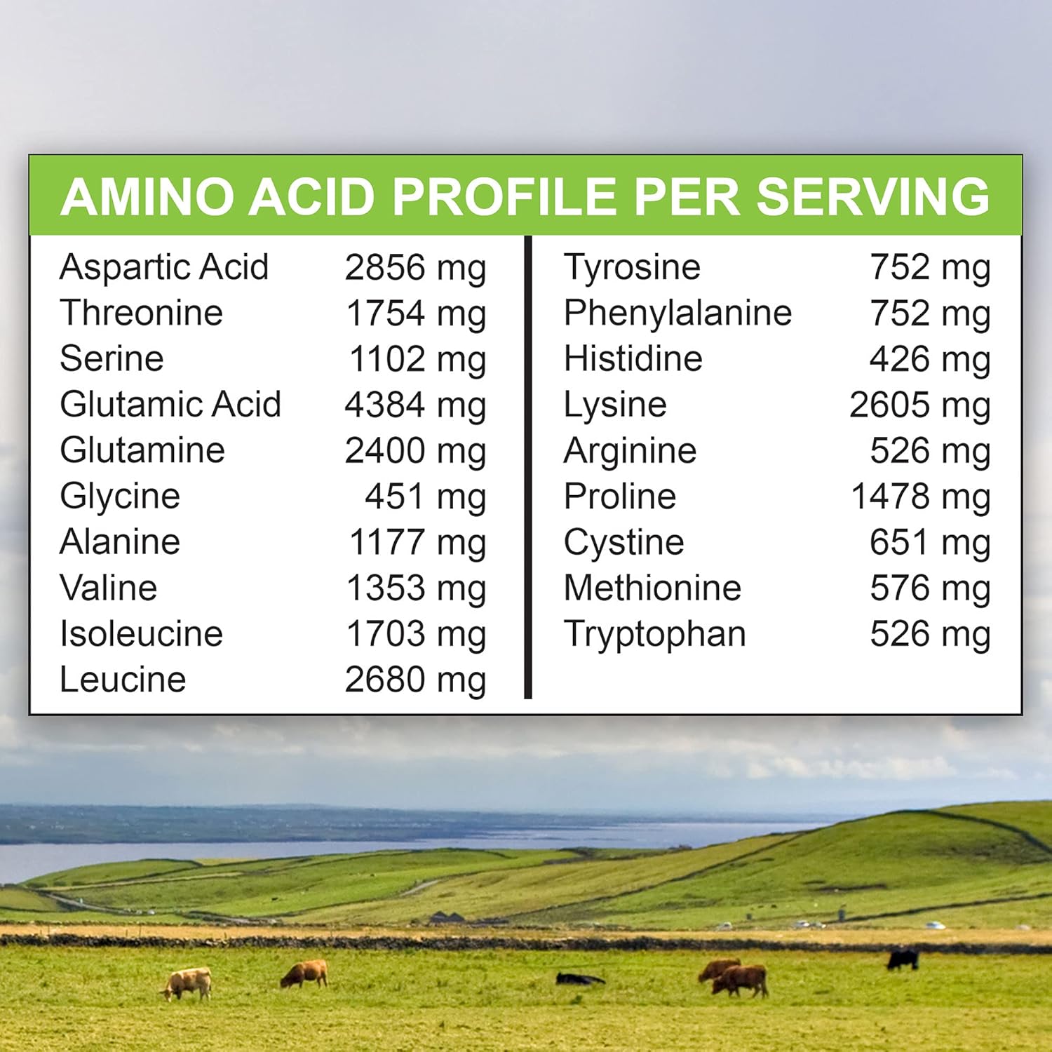 1lb MariGold Grass-fed Whey Protein Isolate Powder - Creamy Vanilla, 100% Pure, Cold-Processed, Non-GMO - Soy, Gluten, Lactose Free