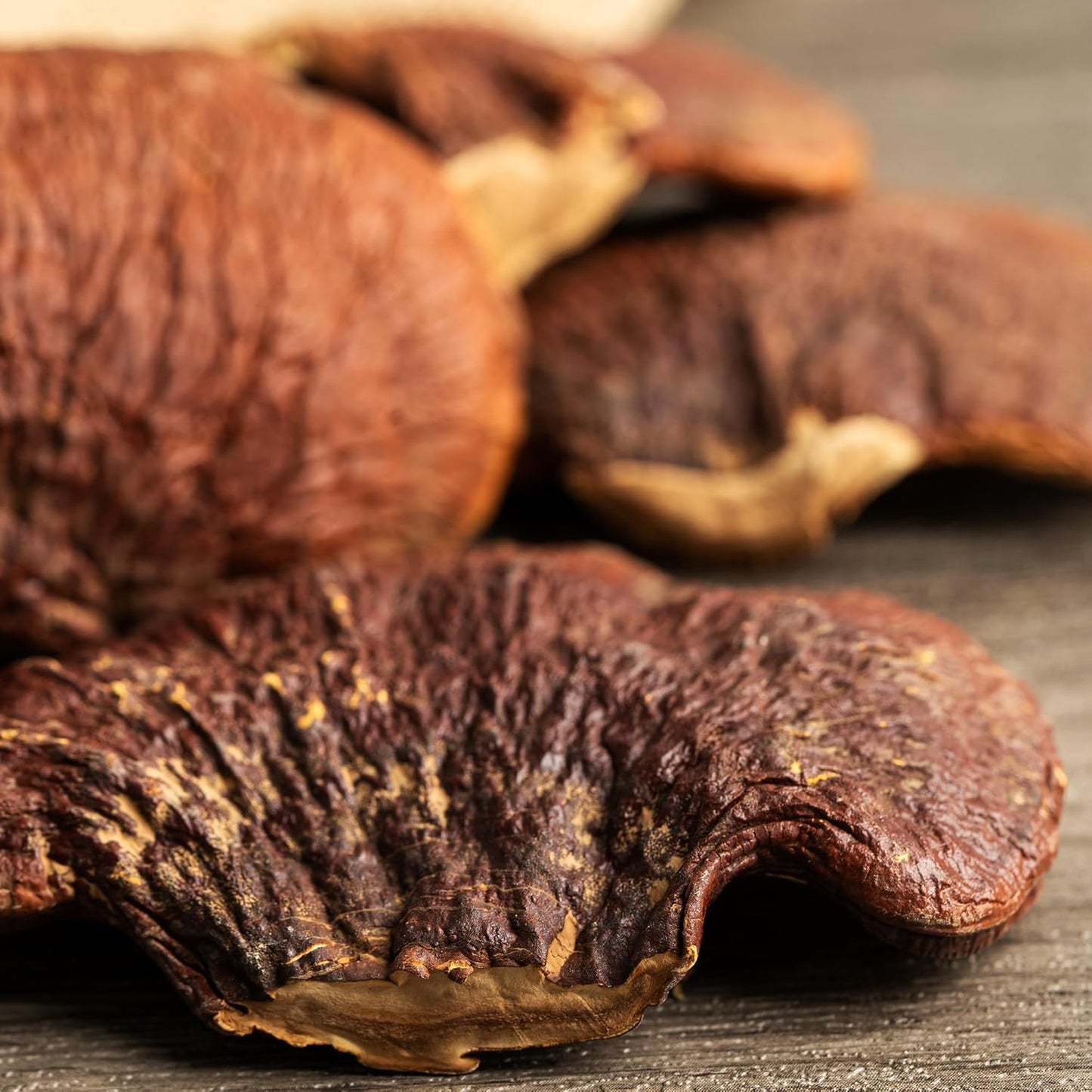 1lb of Lab-Verified Non-GMO Reishi Mushroom Lingzhi - Traditional Supplement with Pure Original Ingredients