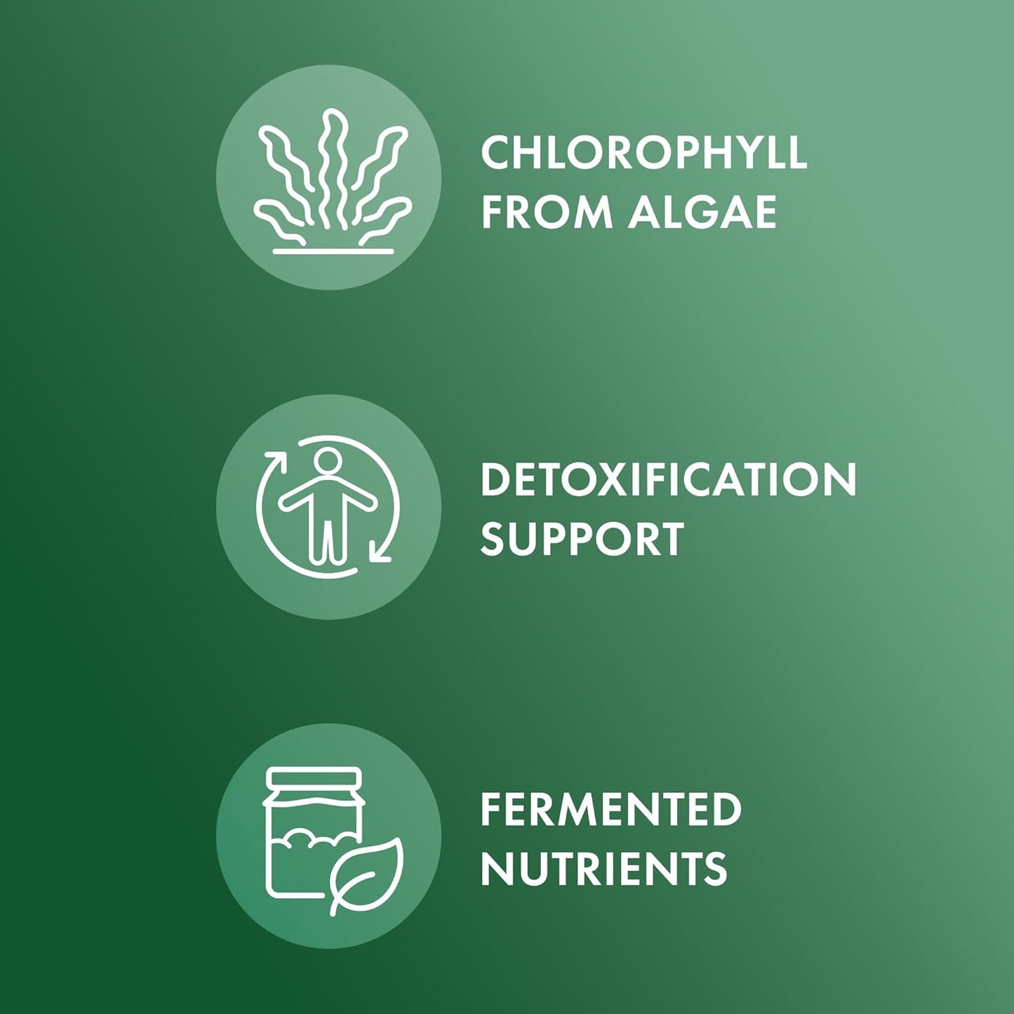 2 Bottles of Dr. Mercola Fermented Chlorella with Chlorophyll, 450 Tablets, Dietary Supplement for Immune and Organ Health, Non GMO, NSF Certified