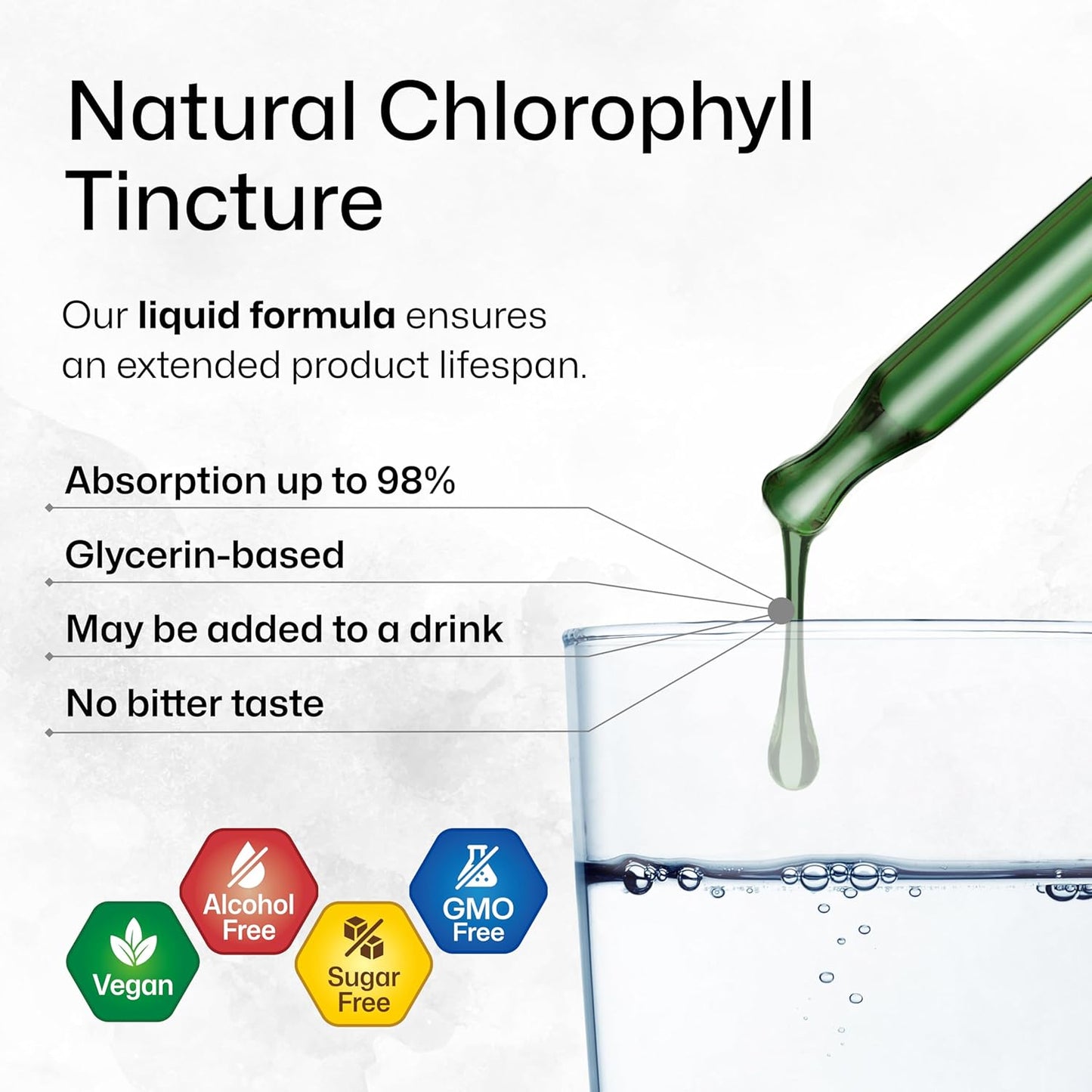 2 Fl. Oz. BIO KRAUTER Chlorophyll and Mullein Tincture Set for Natural Wellness