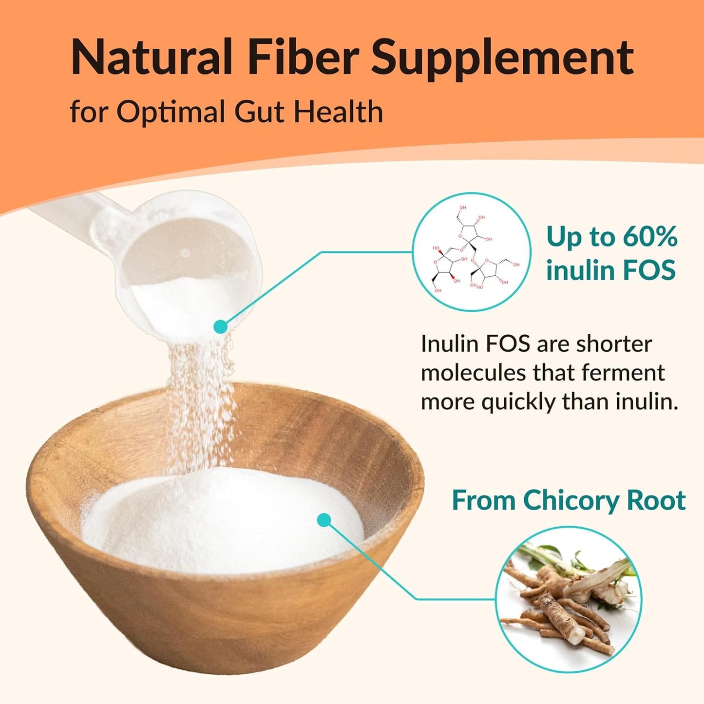 2 lb NAMANNA Pure Inulin FOS Powder: Chicory Root Prebiotic Fiber, Supports Gut Health, Vegan, 2 Pack