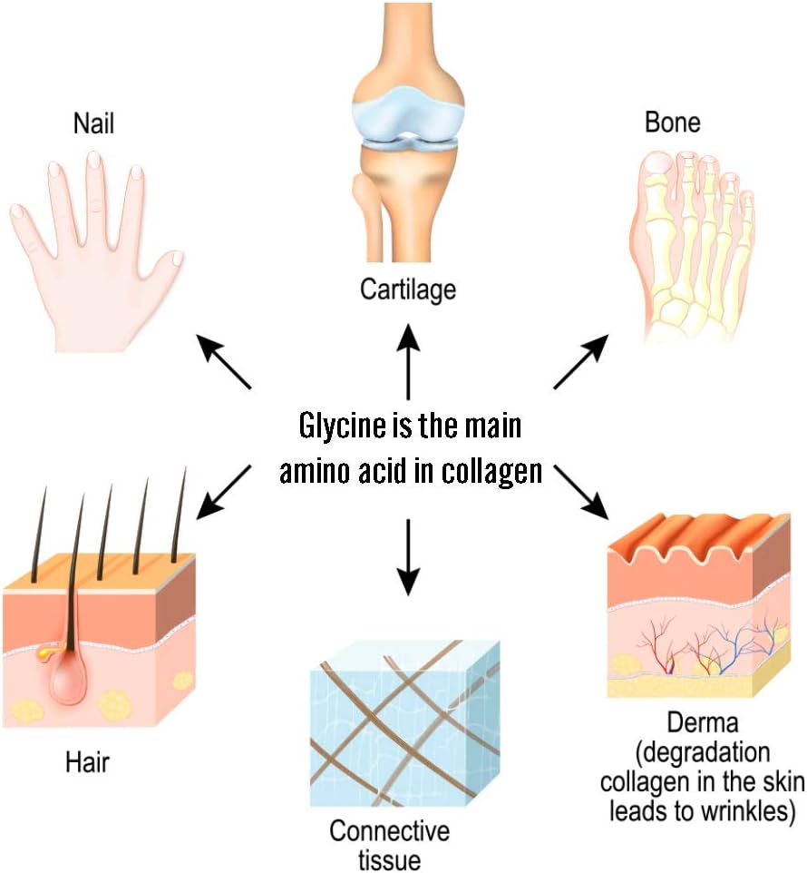 2 lbs TradeKing Glycine Powder - Supports Restful Sleep, Muscle Energy, Strength, Memory, Cognitive Function - Resealable Bag