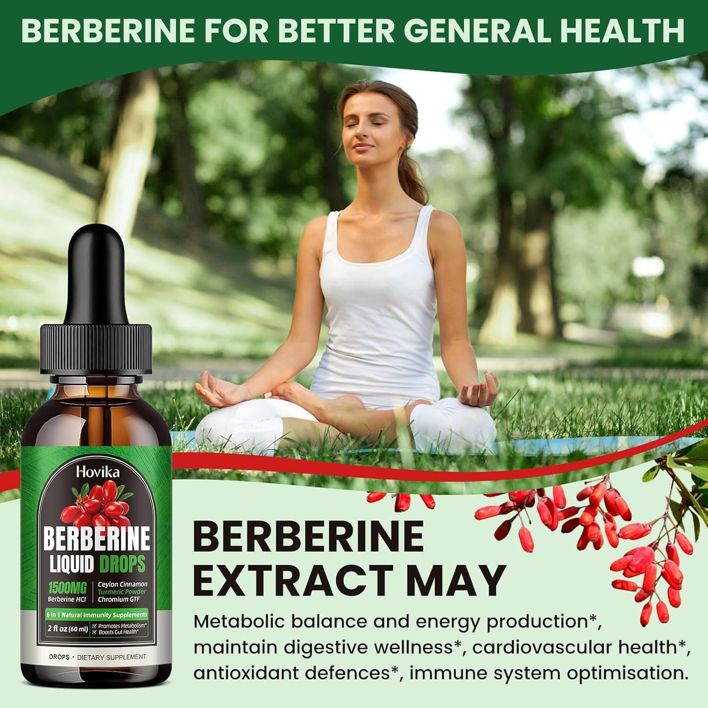 2 Pack Berberine HCL Liquid Drops - 1500mg Supplement with Ceylon Cinnamon, Chromium, Turmeric, Niacinamide - Supports Metabolism, Immune System, Gut Health Vegan