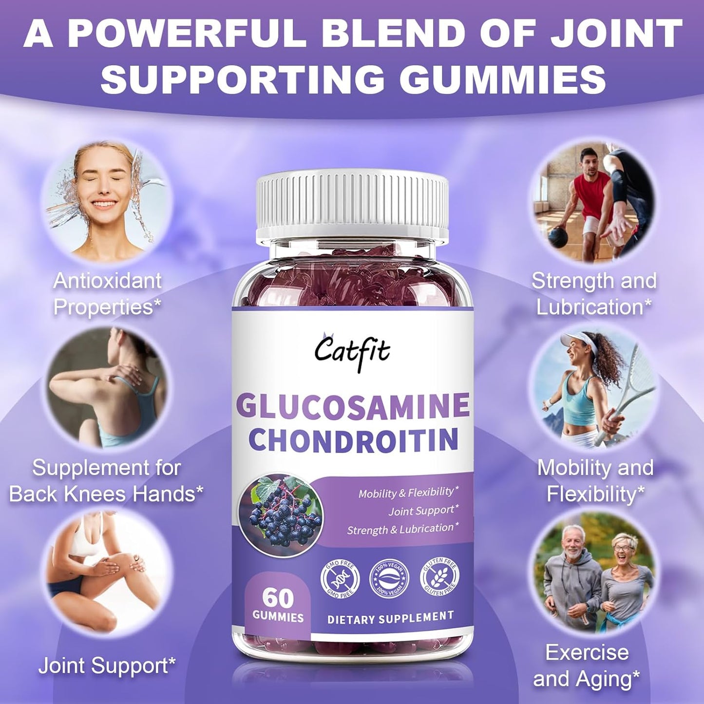 2 Pack Catfit Glucosamine Chondroitin Gummies with MSM, Elderberry - Joint & Immune Support for Adults