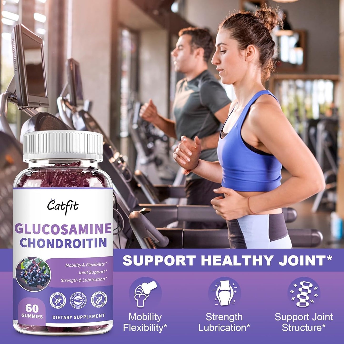 2 Pack Catfit Glucosamine Chondroitin Gummies with MSM, Elderberry - Joint & Immune Support for Adults