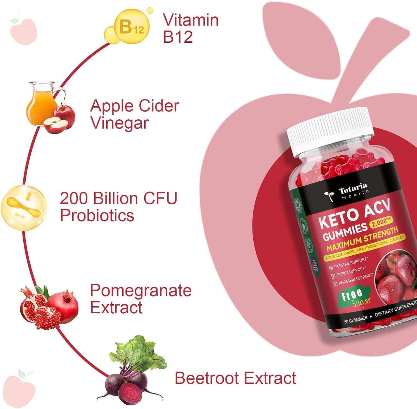 2 Pack Keto ACV Gummies - 4000mg Apple Cider Vinegar with Probiotics, B12 - Sugar-Free Keto Supplements for Women & Men - 120 Gummies