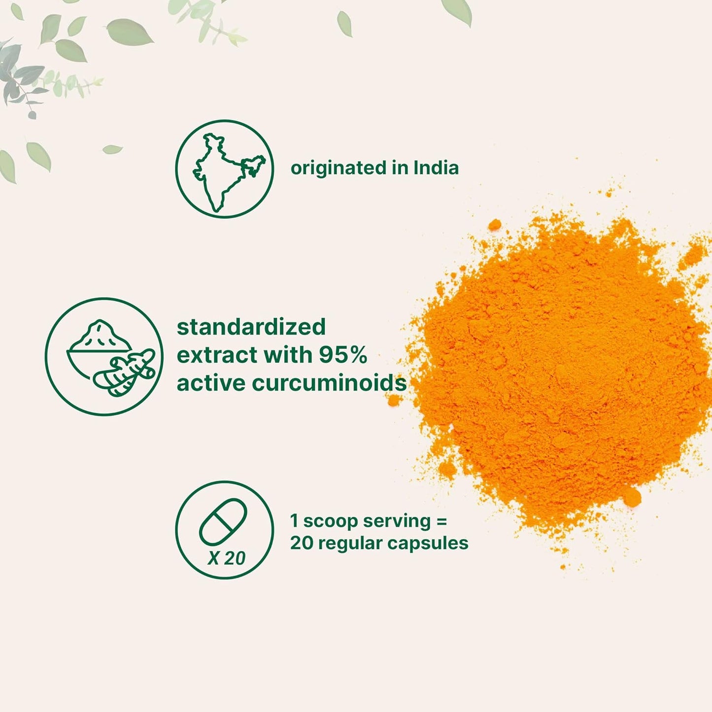 2-Pack Micro Ingredients Pure Curcumin Extract - 95% Curcuminoids