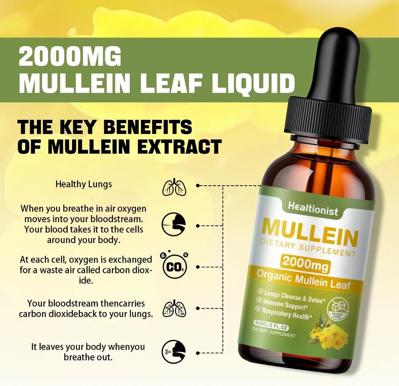 2 Pack Mullein Drops for Lungs - Leaf Extract Liquid - Immune Support & Cleanse - Detox & Respiratory Supplement - 4 fl oz Vegan Tincture - BoostGo Australia