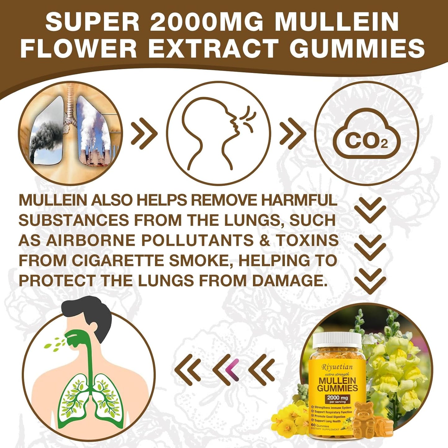 2 Pack Mullein Gummies 2000mg for Respiratory & Digestive Health - Immune Booster for Adults & Kids - Vegan, Non-GMO, 120 Gummies
