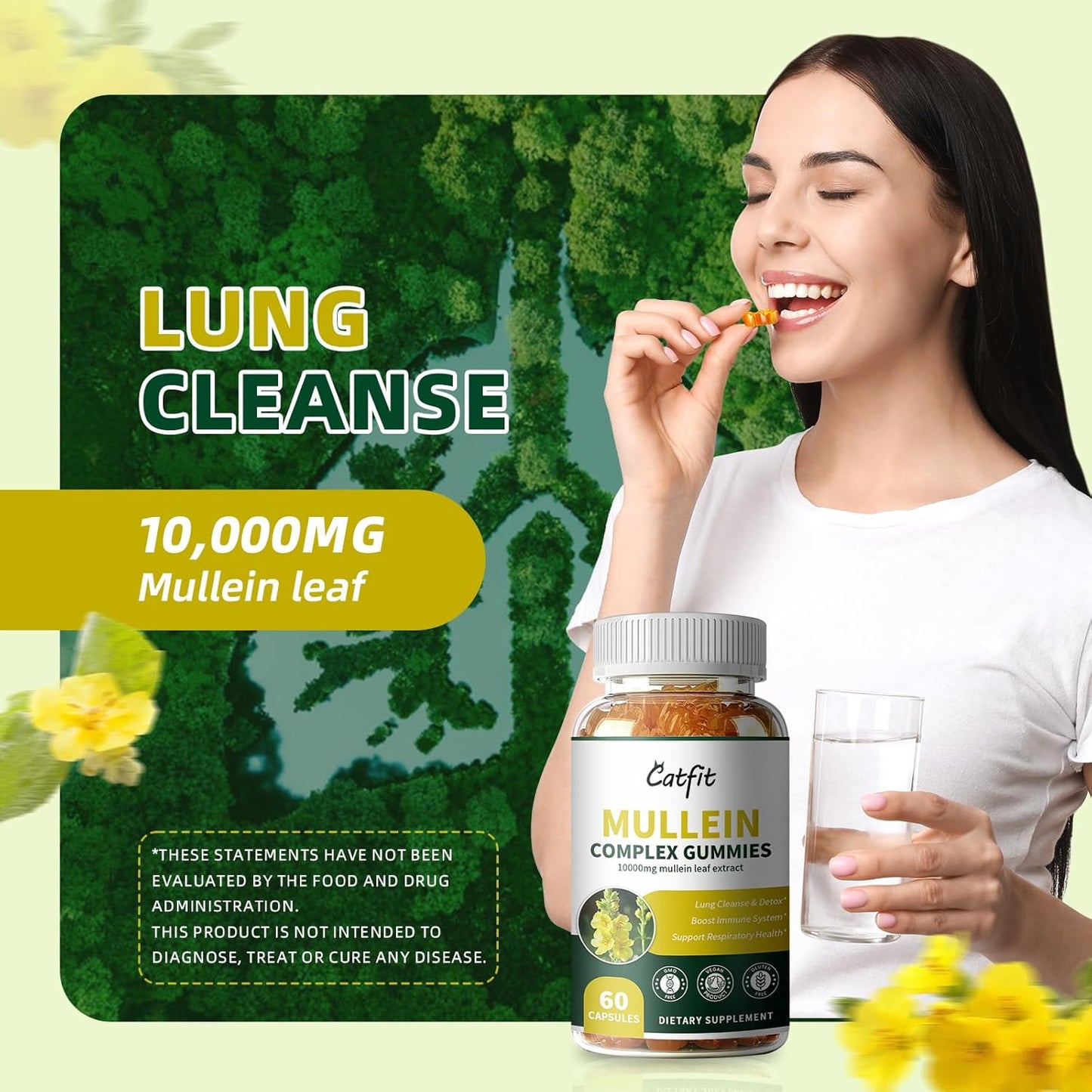 2 Pack Mullein Gummies and Drops for Lung Health - Mullein Leaf Extract for Respiratory Support