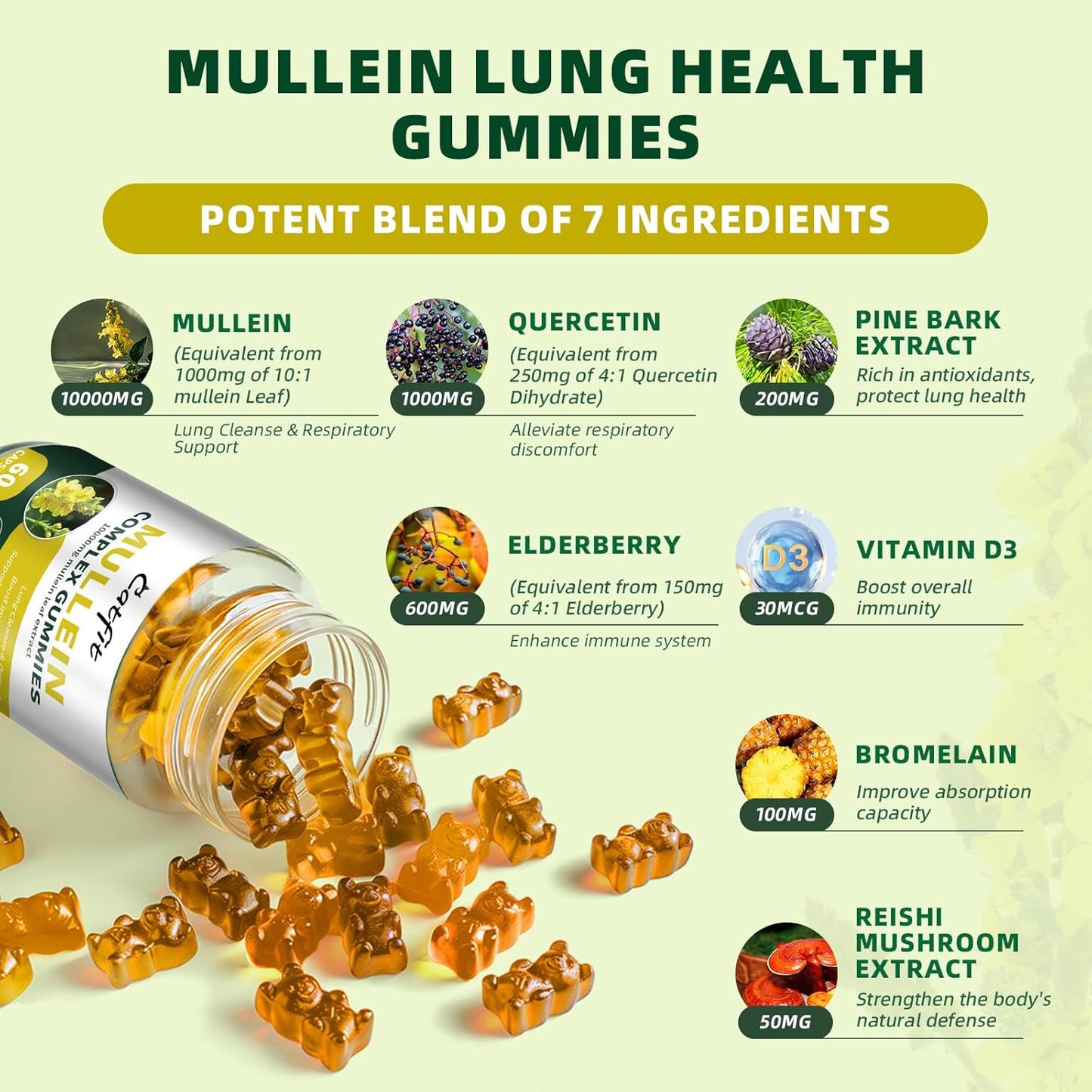 2 Pack Mullein Gummies and Drops for Lung Health - Mullein Leaf Extract for Respiratory Support