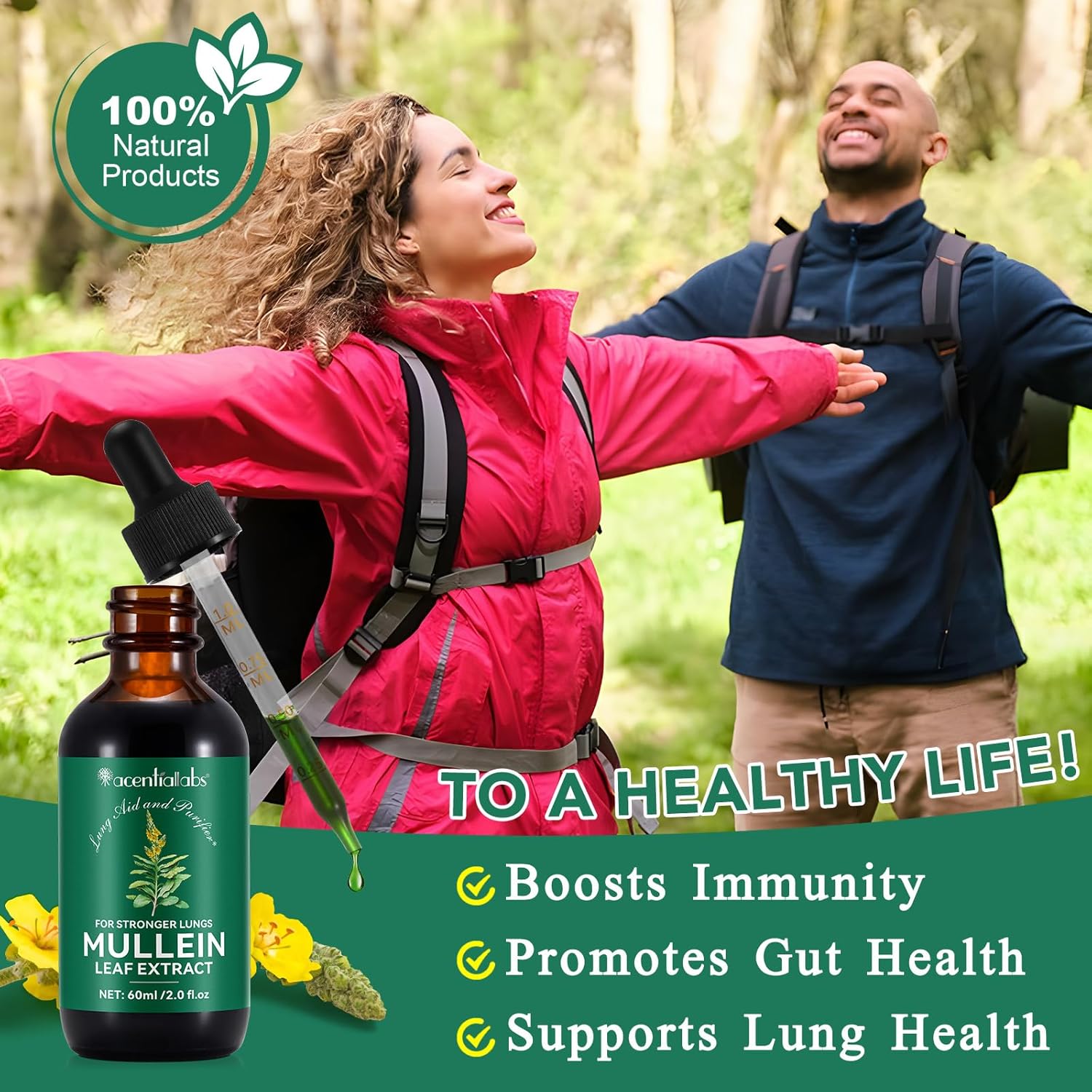 2-Pack Mullein Leaf Extract Drops with Chlorophyll for Lung Support