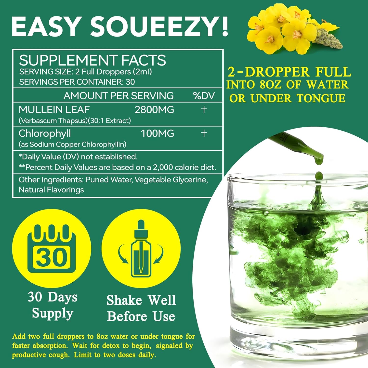 2-Pack Mullein Leaf Extract Drops with Chlorophyll for Lung Support