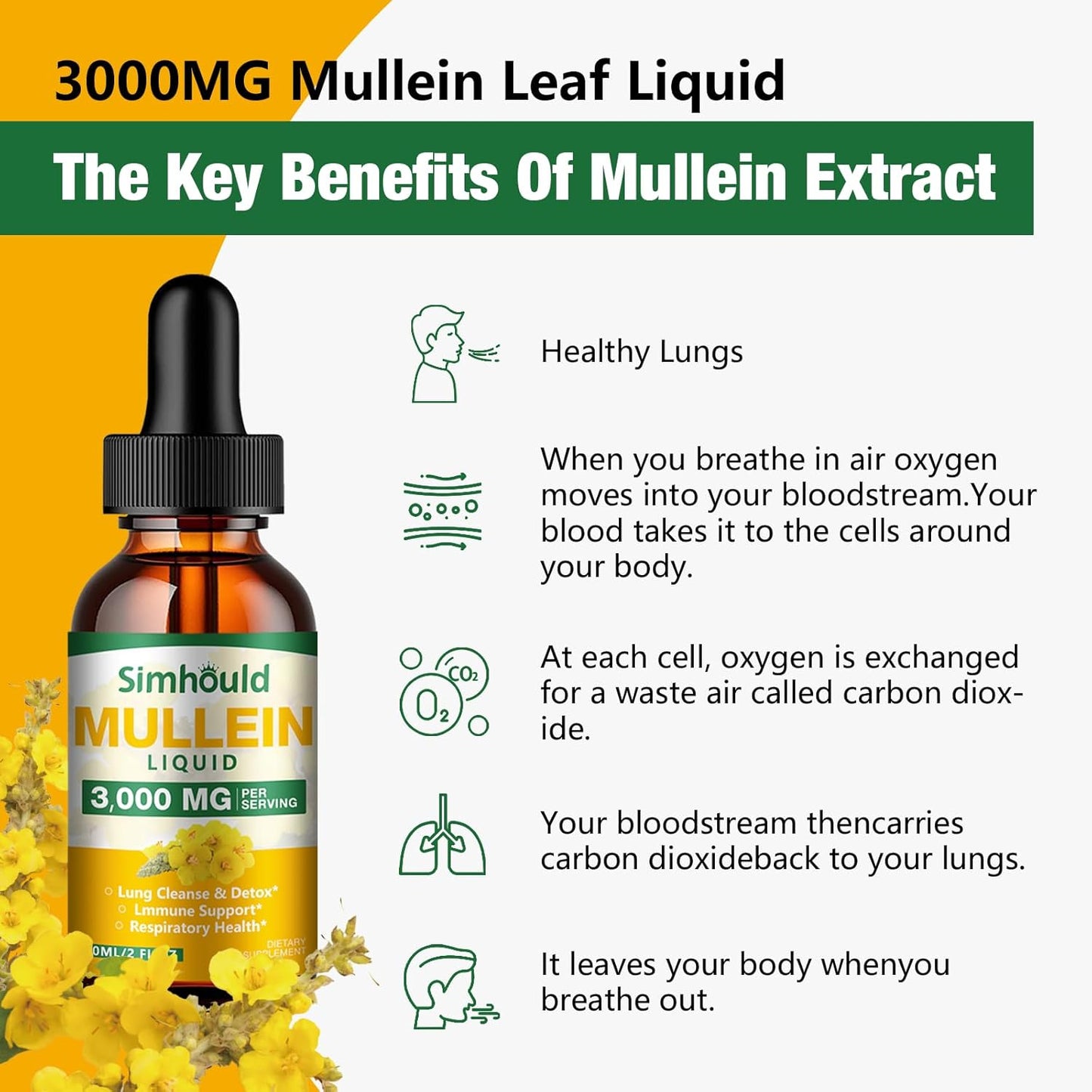 2 Pack Mullein Tincture - 3000mg Organic Mullein Leaf Extract for Lung Health, Respiratory Support, Digestive Health, Immune Boost - 4 oz Vegan Supplement