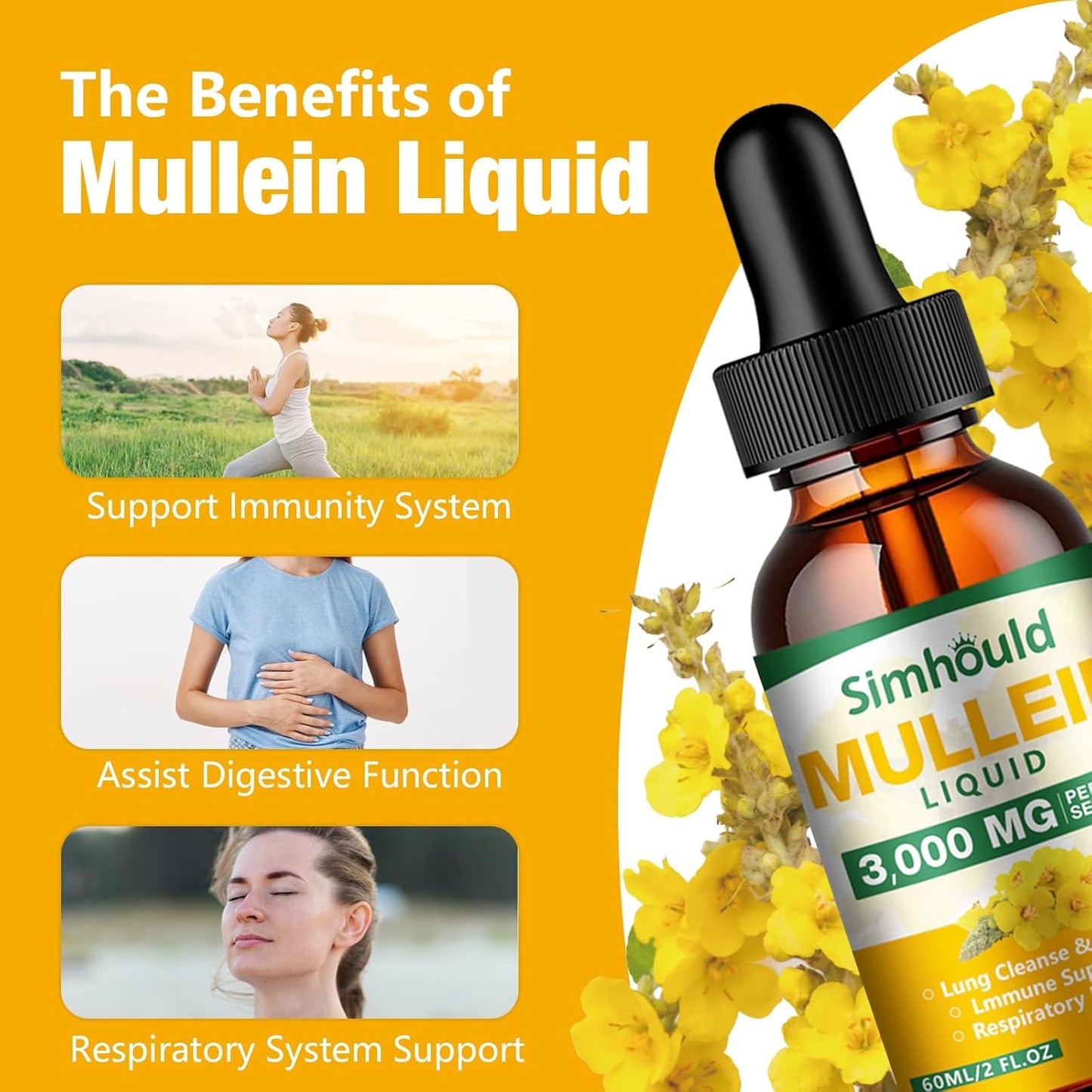 2 Pack Mullein Tincture - 3000mg Organic Mullein Leaf Extract for Lung Health, Respiratory Support, Digestive Health, Immune Boost - 4 oz Vegan Supplement