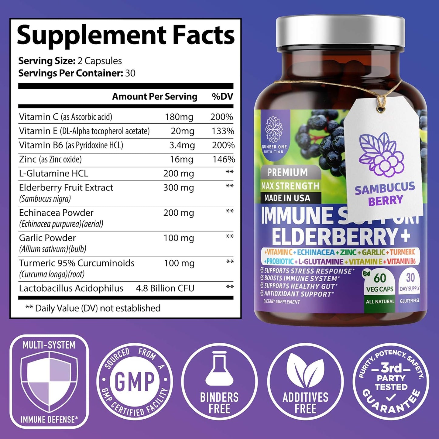 2 Pack N1N Premium Immune Support Supplement with 10 Potent Ingredients - Elderberry, Vitamin C, Zinc, Echinacea, Turmeric, Garlic, Probiotics - 120 Veg Caps for Adults