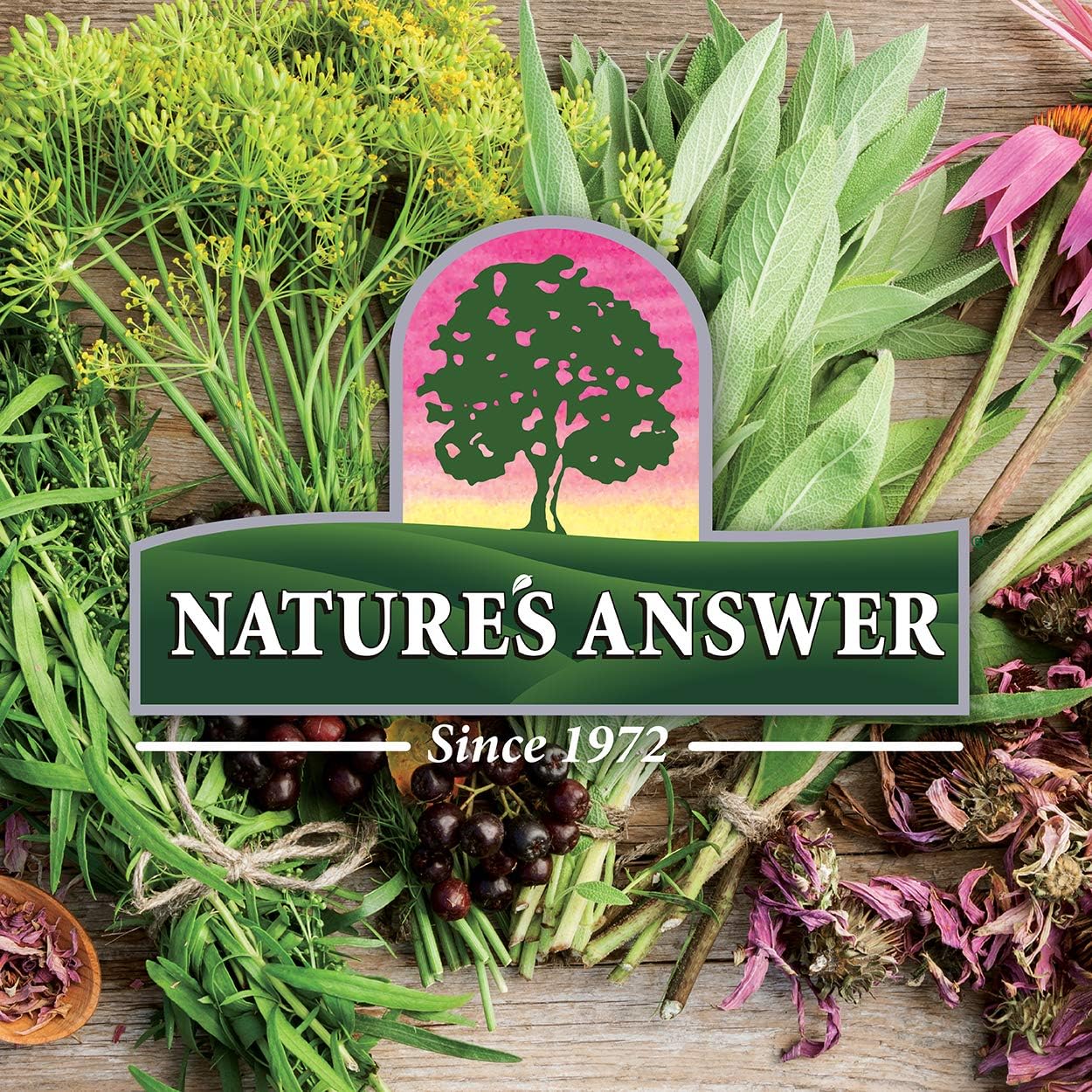 2 Pack Nature's Answer Astragalus Root Herbal Supplement, Alcohol-Free, 1oz - Immune & Cardiovascular Support, Natural Stress Relief