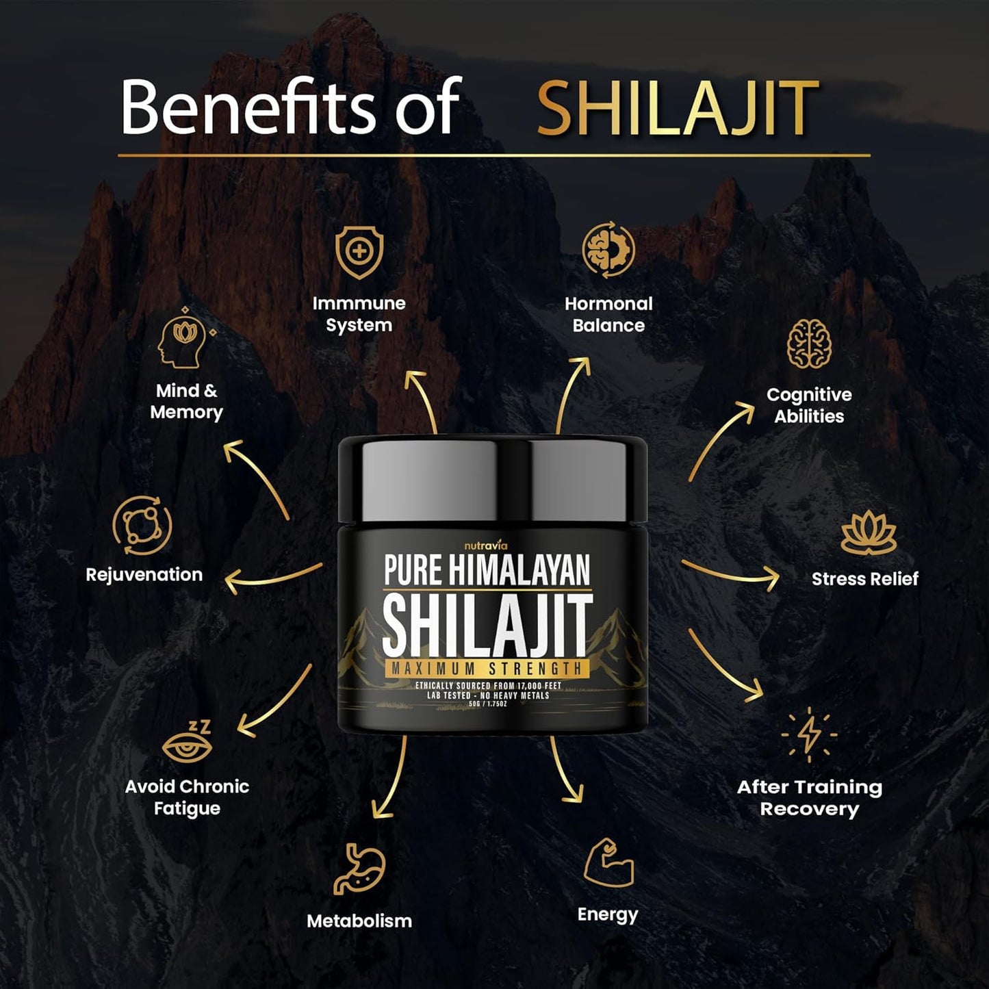 2 Pack Nutravia Shilajit Pure Himalayan Organic Resin - Authentic Lab Tested Formula for Men and Women - 600mg Max Strength - 85+ Trace Minerals - Golden Grade Shilajit Supplement