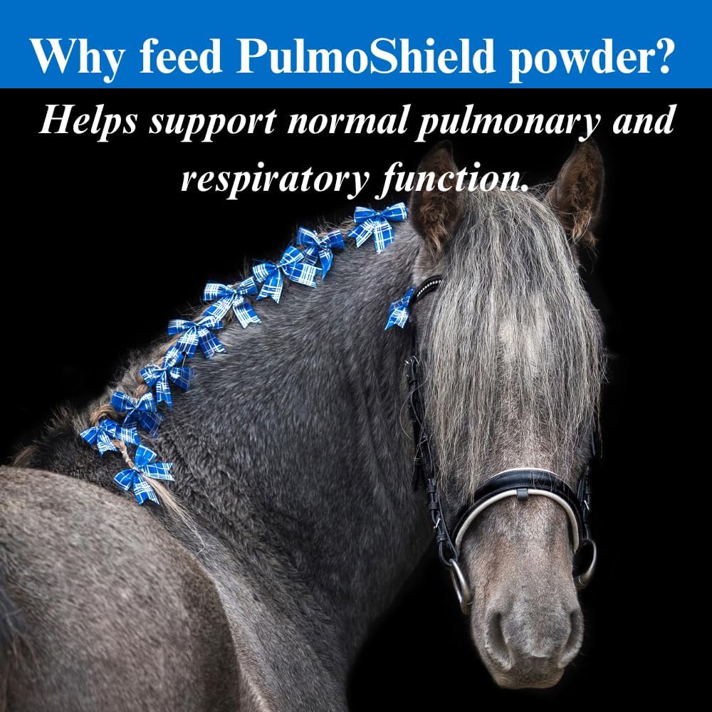 2 Pack of SU-PER PulmoShield Horse Respiratory Supplement for Healthy Lung Function - Horse Vitamins & Minerals - 4 lb. Each