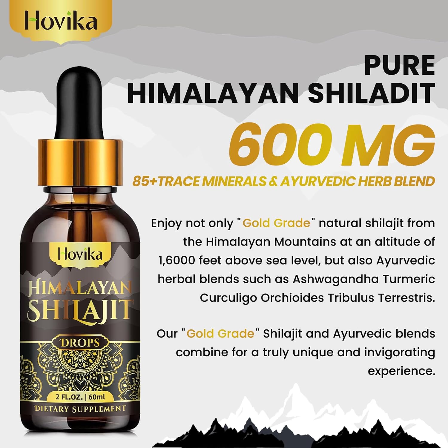 2-Pack Organic Himalayan Shilajit Resin Liquid Drops with Ayurvedic Blend - 600mg, Brain Booster & Energy Immune Support